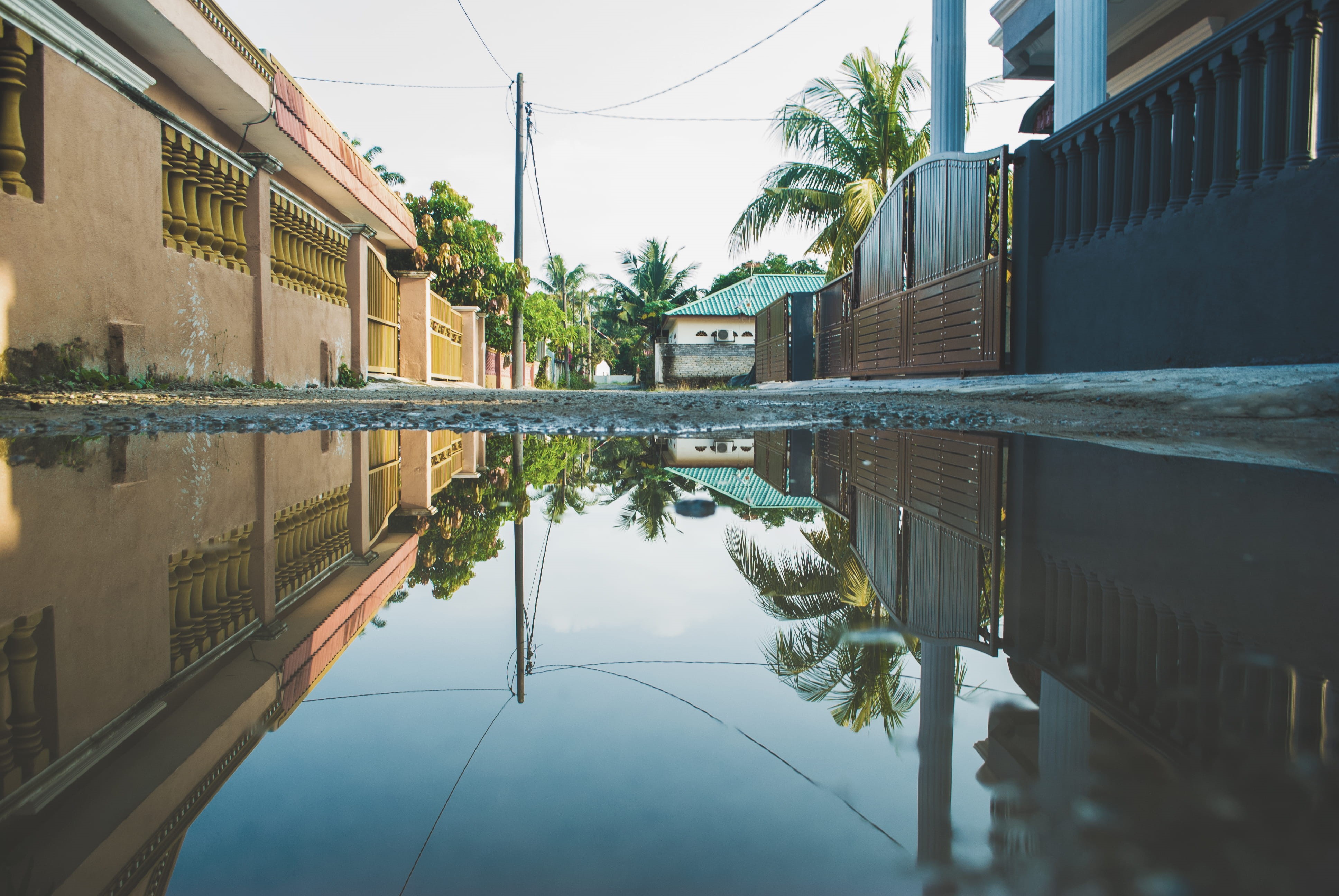 residential area, tree, puddle, dirty, nature, building, no people, built structure, sky, reflection, street, symmetry, plant, palm tree, water, reflecting pool, HD Wallpaper