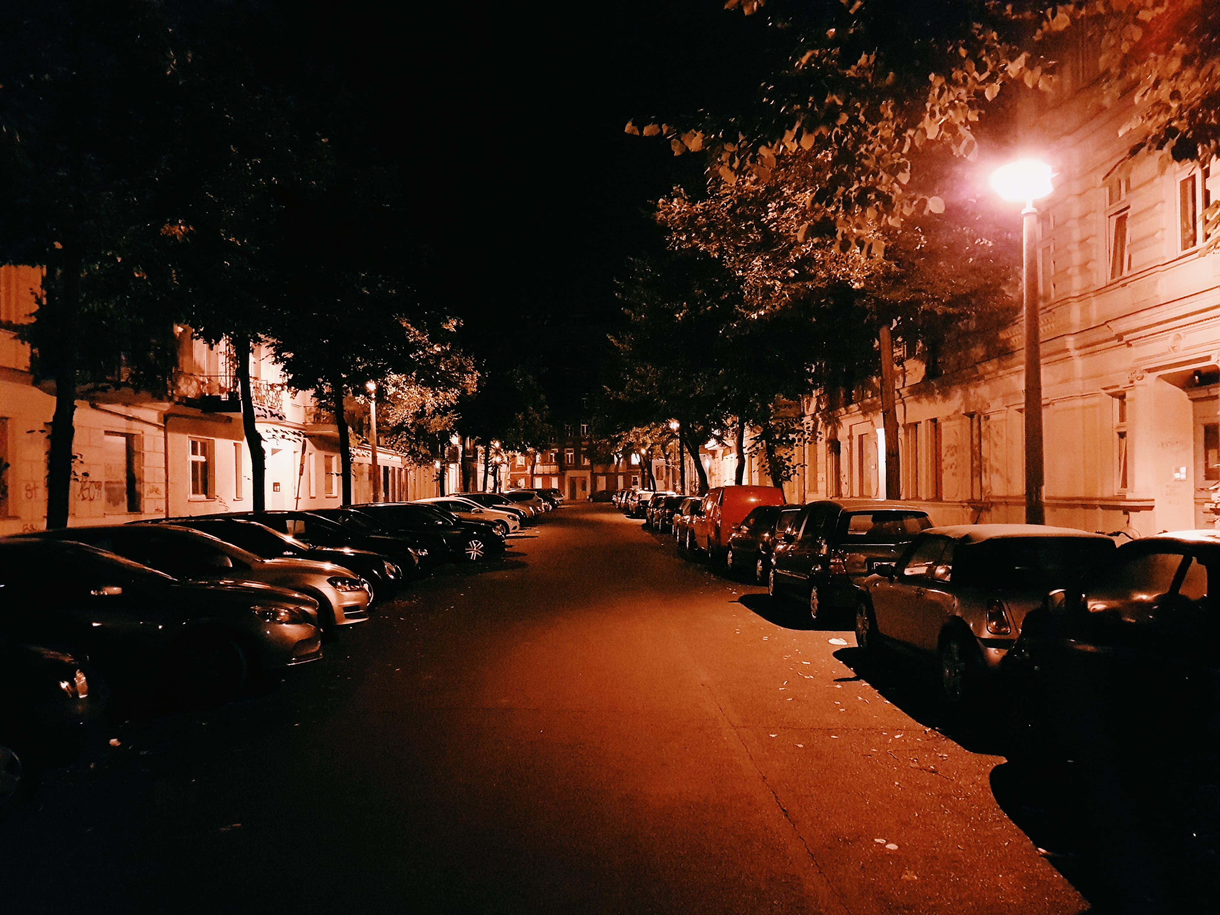 home, direction, street light, road, motor vehicle, street, nature, tree, built structure, car, mode of transportation, city, berlin, residential area, HD Wallpaper