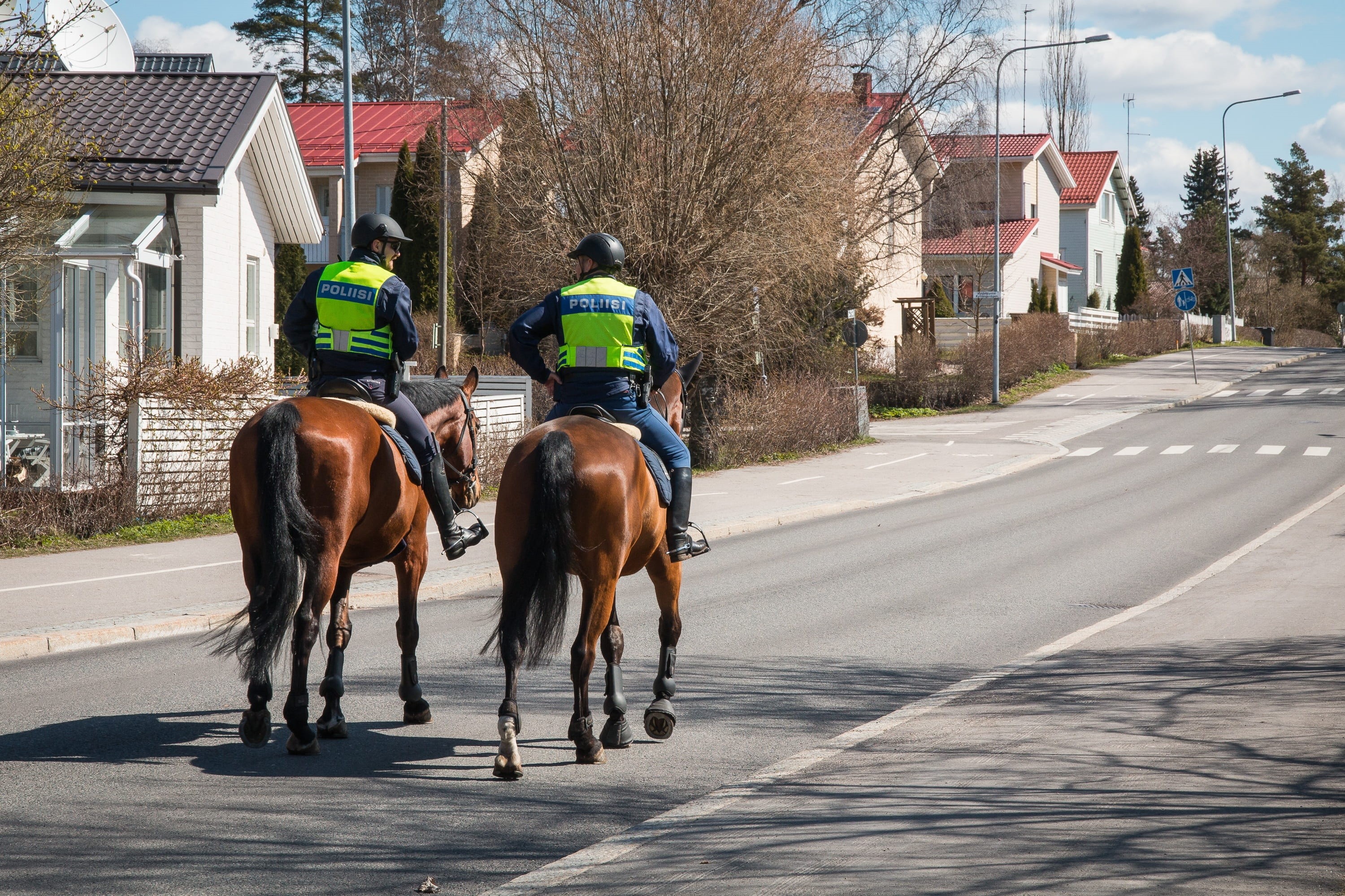 patrol, horse, ride, riding, 2K, security, outdoors, built structure, horseback riding, city, real people, mammal, officer, pets, vertebrate, mounted police, HD Wallpaper
