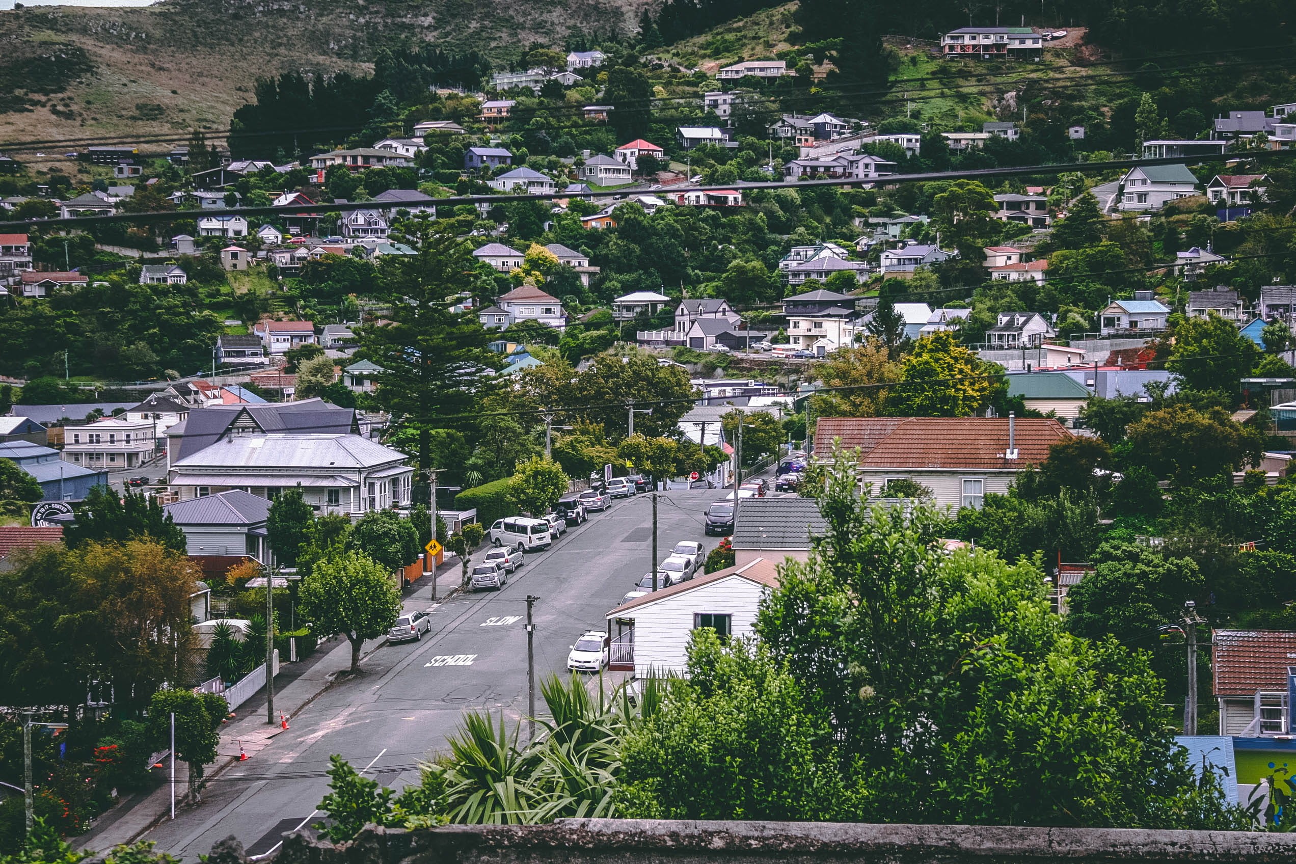 growth, outdoors, plant, homes, urban, building, residential area, city, photography, road, birds, view, residential district, daylight, nature, building exterior, HD Wallpaper