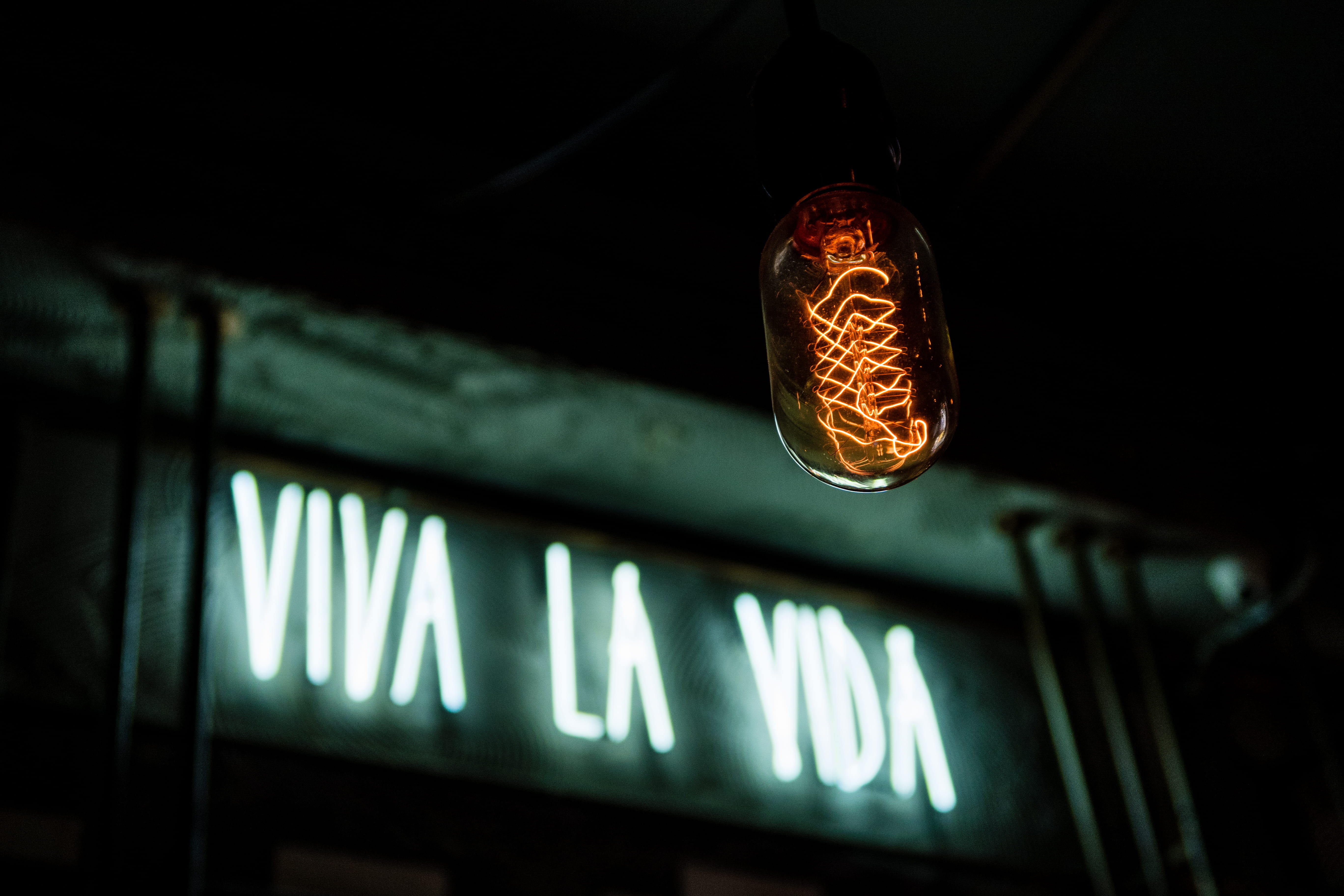 indoor, ceiling, green, viva, time, clock, signage, architecture, no people, neon, lighting equipment, guidance, low angle view, la, indoors, street photography, HD Wallpaper