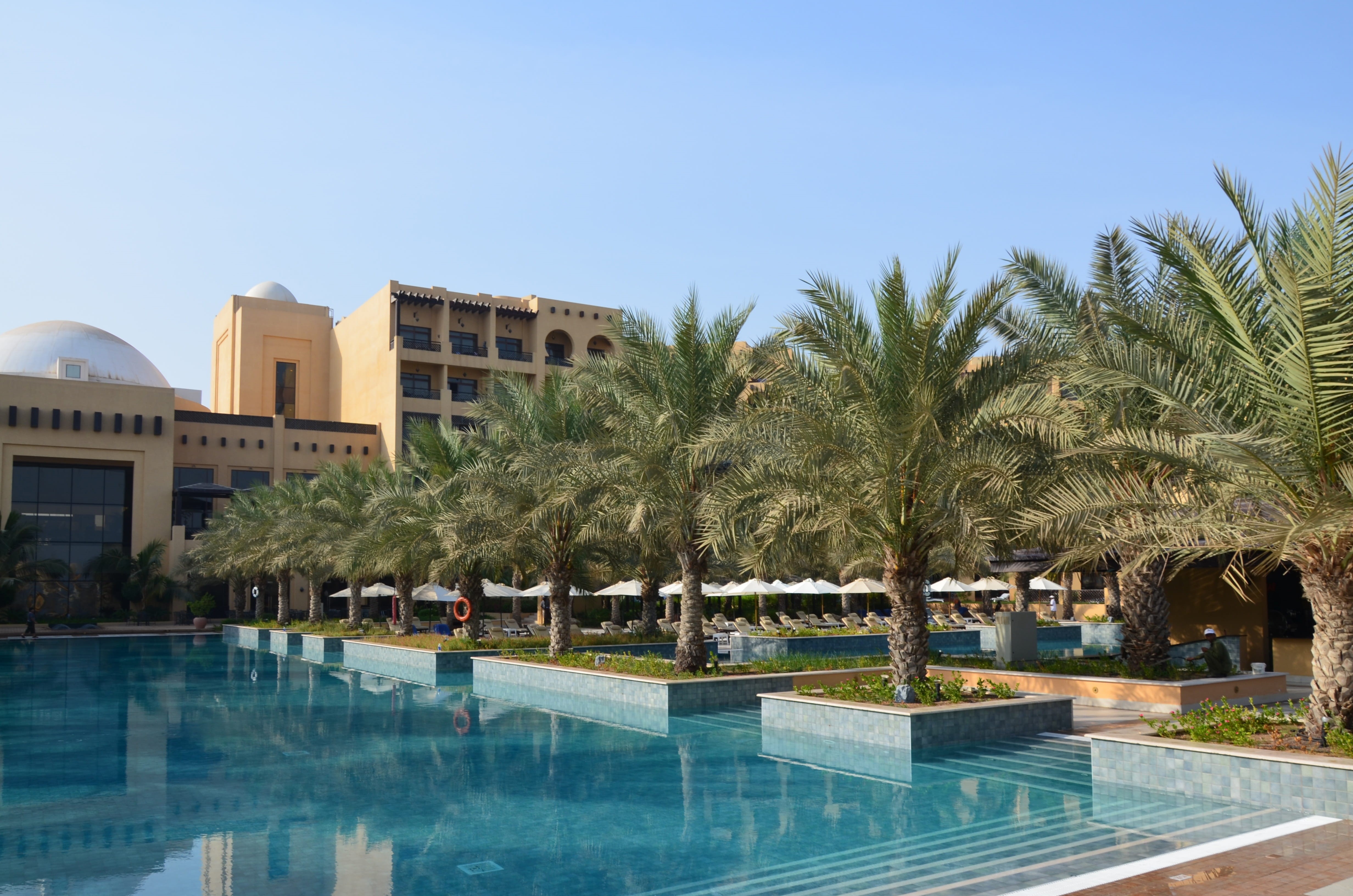 tree, no people, nature, palm tree, travel destinations, outdoors, swimming pool sun, water, poolside, palm trees, ras al khaimah, clear sky, tropical climate, HD Wallpaper
