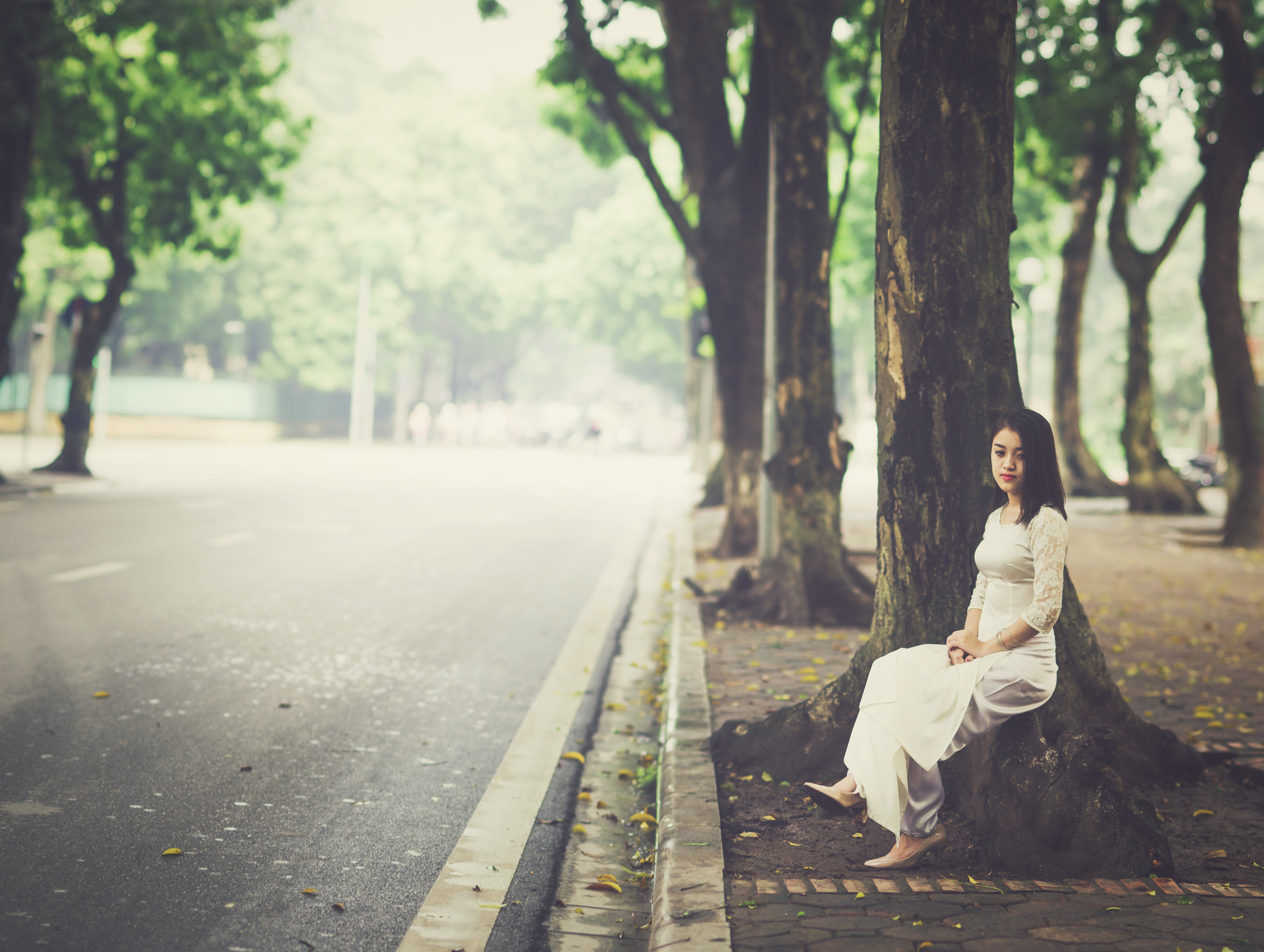 full length, adults, girl, one person, beautiful woman, sitting, hairstyle, woman, adult, 8K, plant, dress, young women, day, people, outside, beside, HD Wallpaper