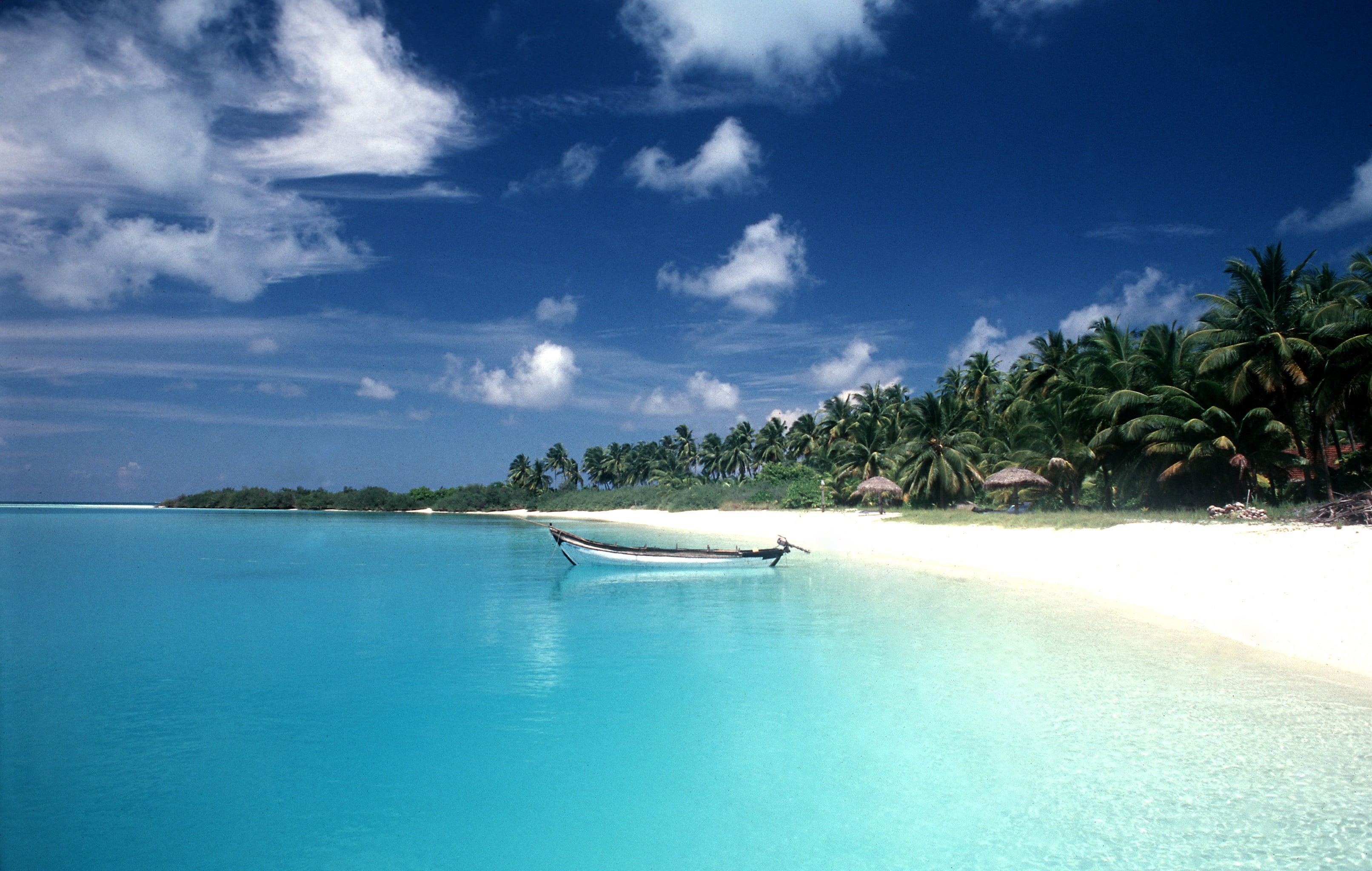 boat, transportation, outdoors, brown, scenics - nature, beauty in nature, plant, tranquility, sky, nature, blue, palm tree, tropical climate, tranquil scene, HD Wallpaper