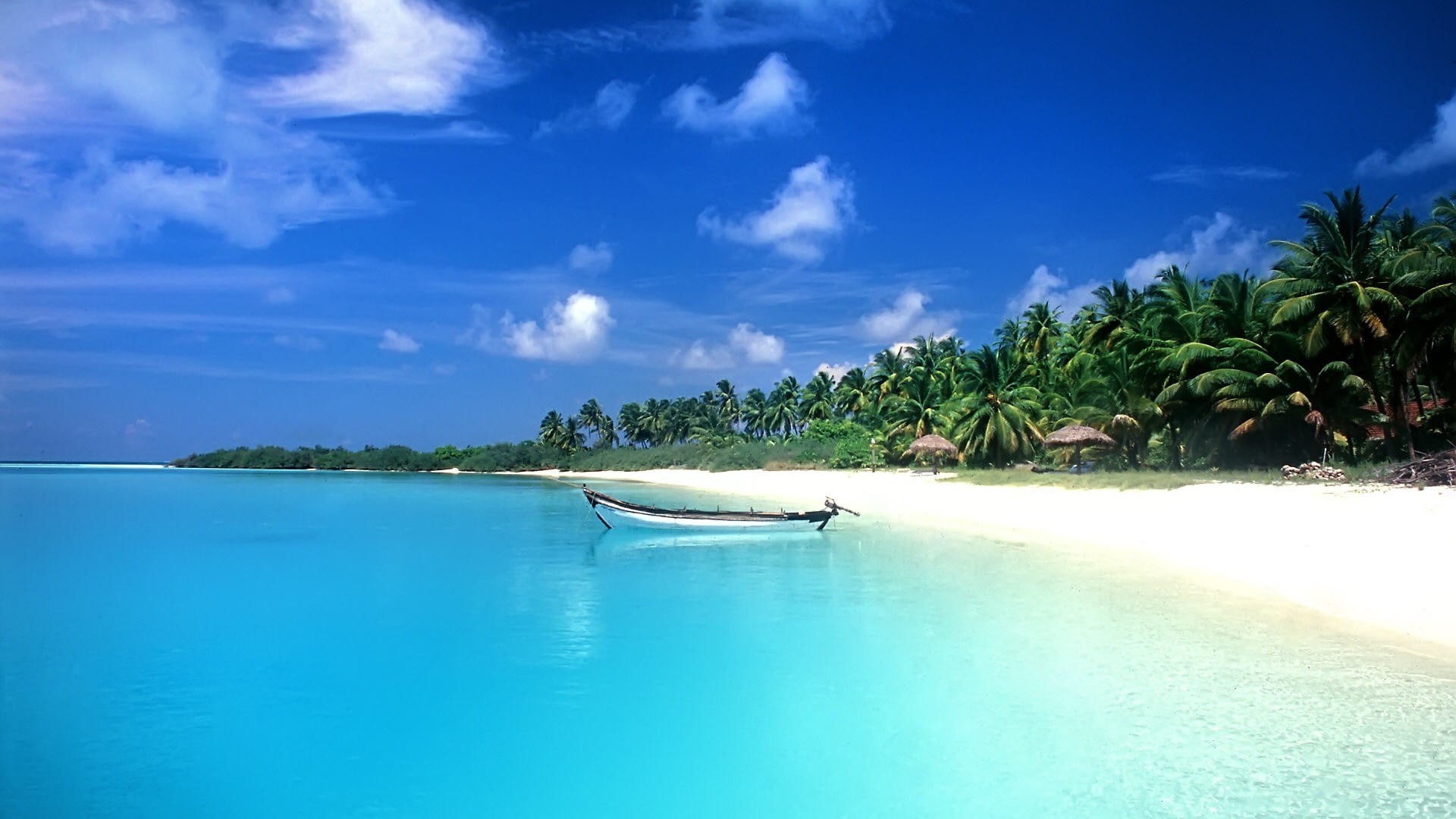 waterfront, palm tree, mode of transportation, scenics - nature, outdoors, 1080P, palm trees, turquoise colored, cloud - sky, beach, blue, coconut palm tree, HD Wallpaper