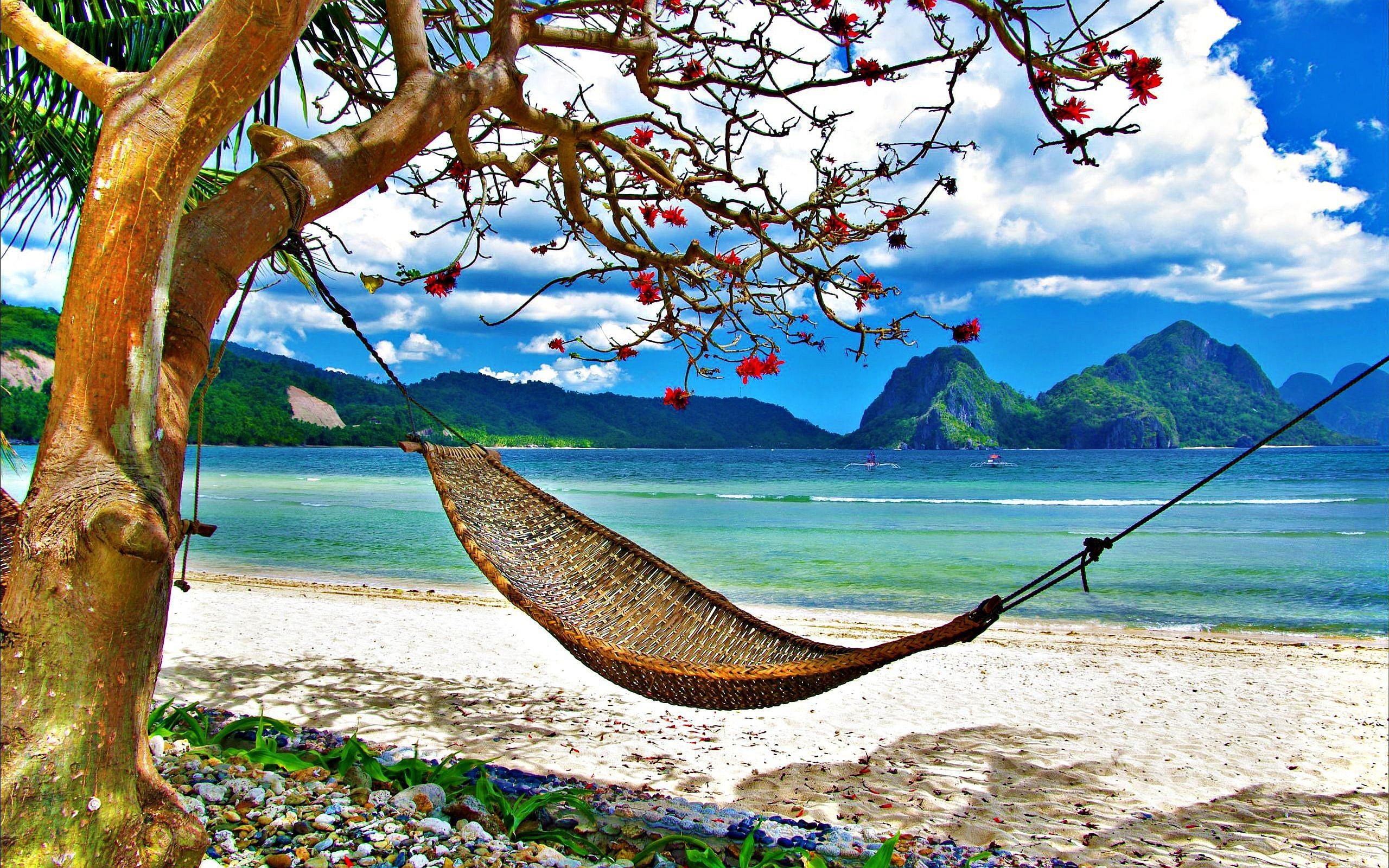 beach, nature, hammock, 2K, HD Wallpaper