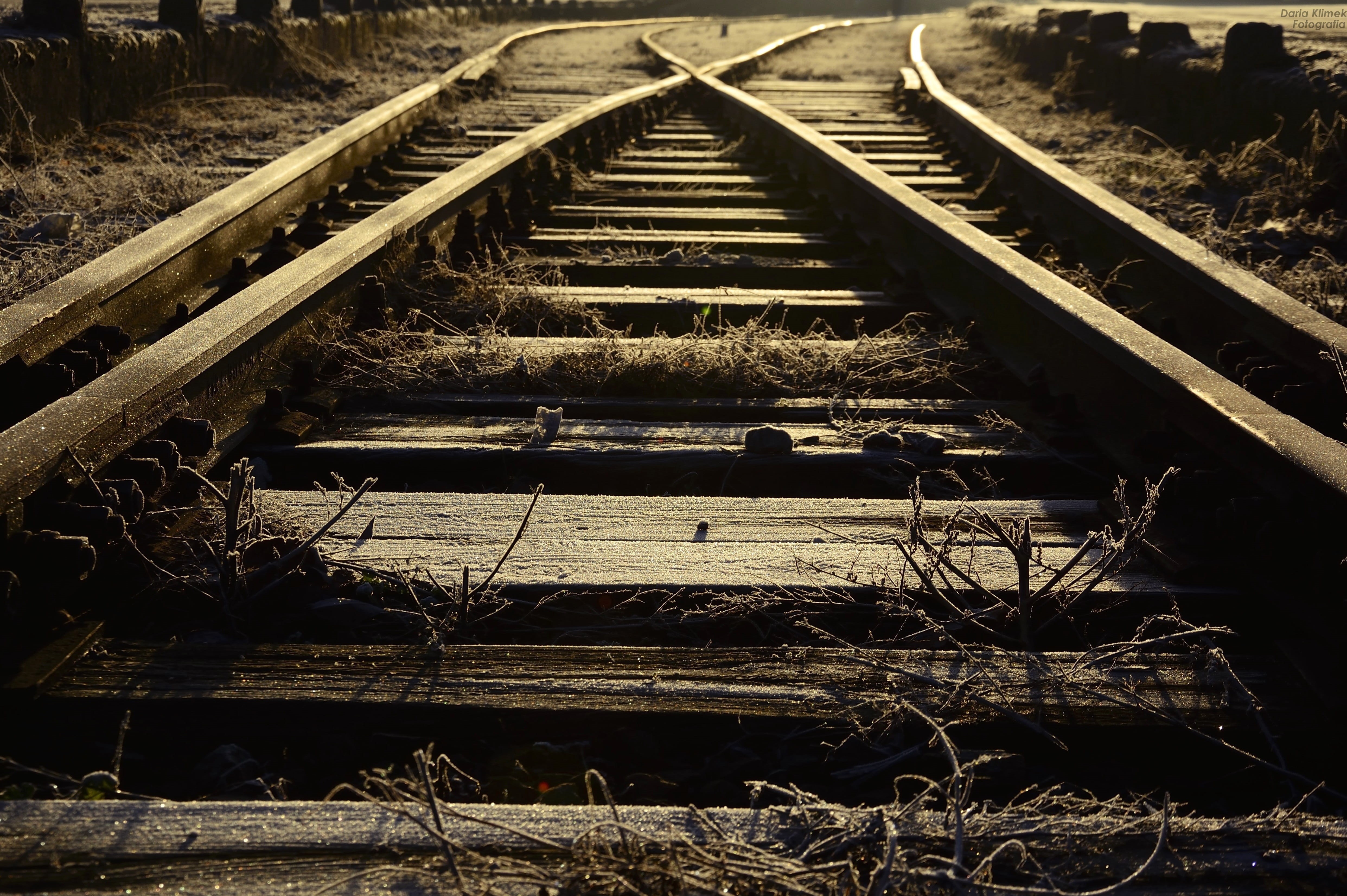 track, the railways, metal, abandoned, 4K, steel, diminishing perspective, Way, grass, direction, land, Light, railroad Track, sunlight, daytime, the way forward, HD Wallpaper