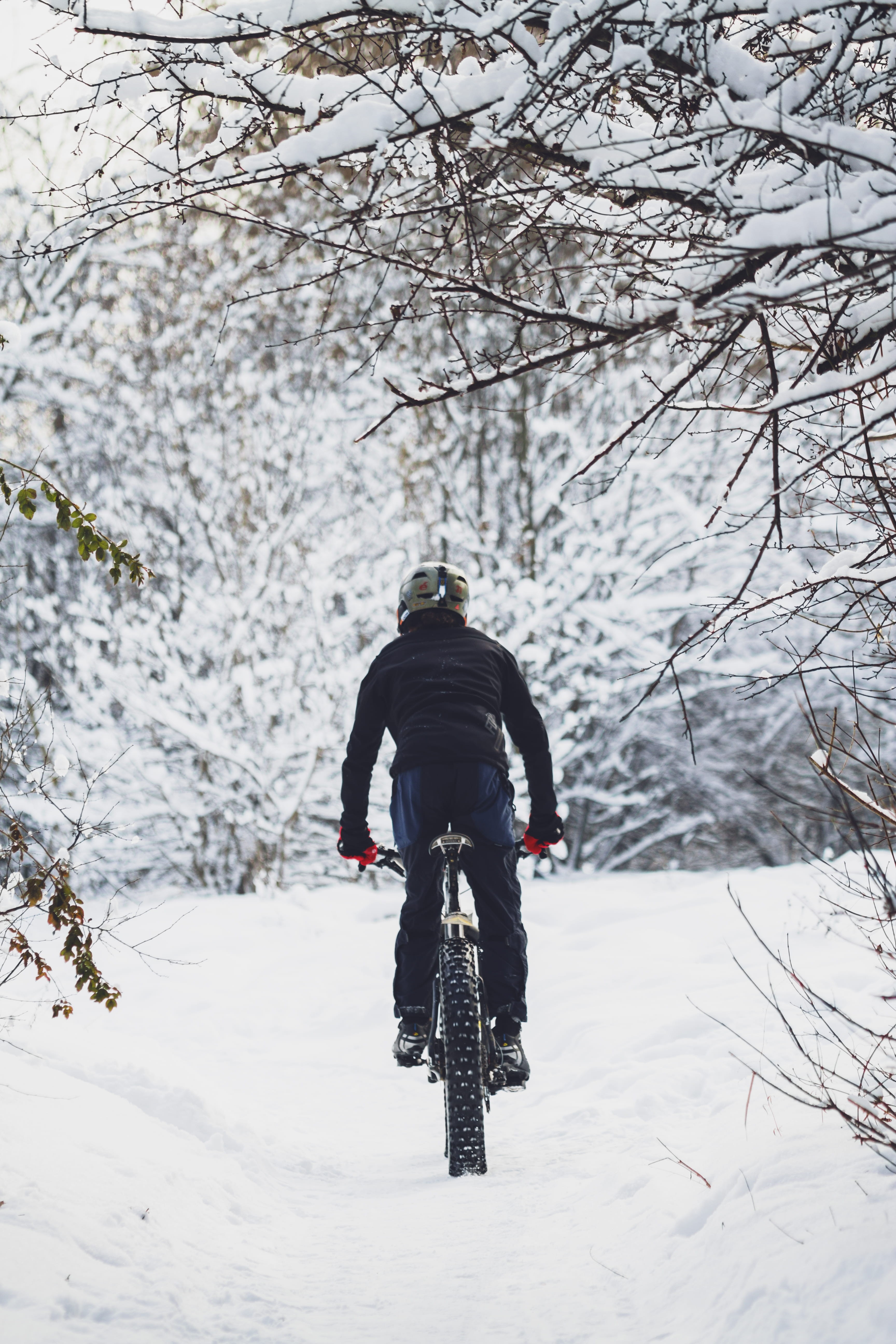 person, slope, men, forest, land, sport, warm clothing, transportation, tree, adventure, one person, leisure activities, machine, 5K, bicycle, white color, Phone HD Wallpaper