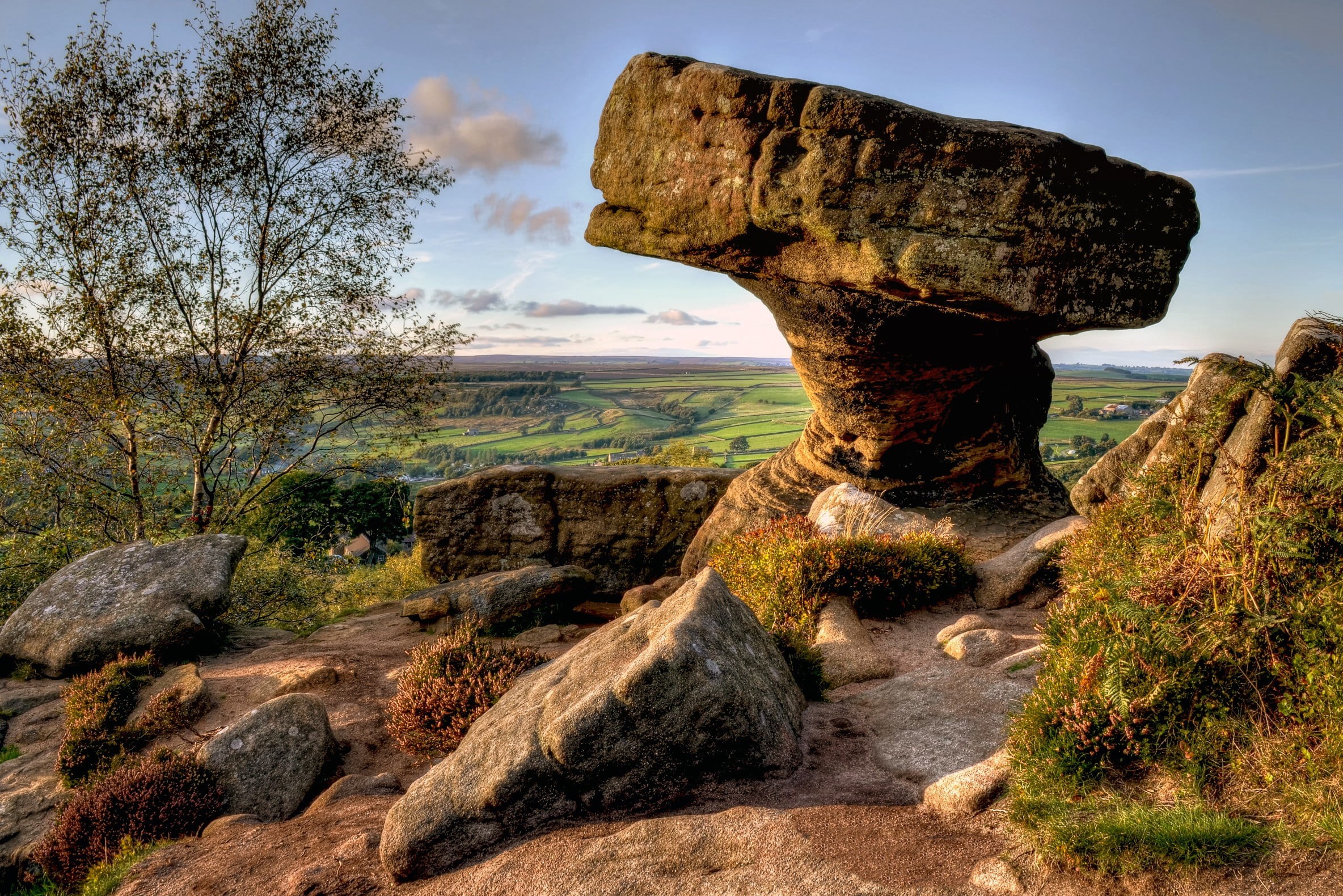 tree, eroded, scenics - nature, solid, land, cloud - sky, plant, nature, rock, landscape, outdoors, 1080P, concrete, environment, fountain, tranquil scene, HD Wallpaper