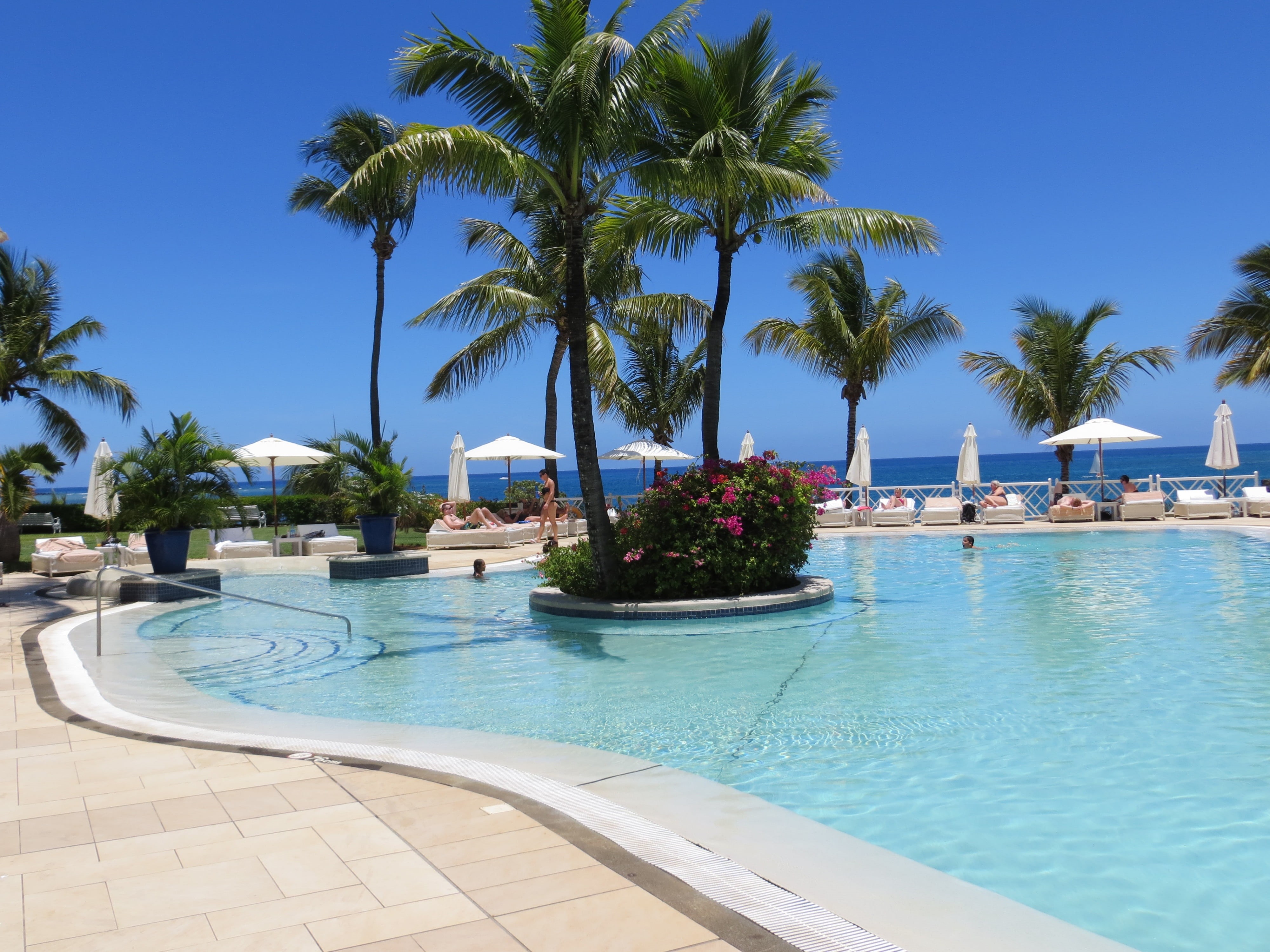 relax, maritime hotel, blue, tropical Climate, relaxation, 4K, palm Tree, outdoors, tree, palm trees, persons, hotel, swim, water, lounge chair, sky, vacations, HD Wallpaper