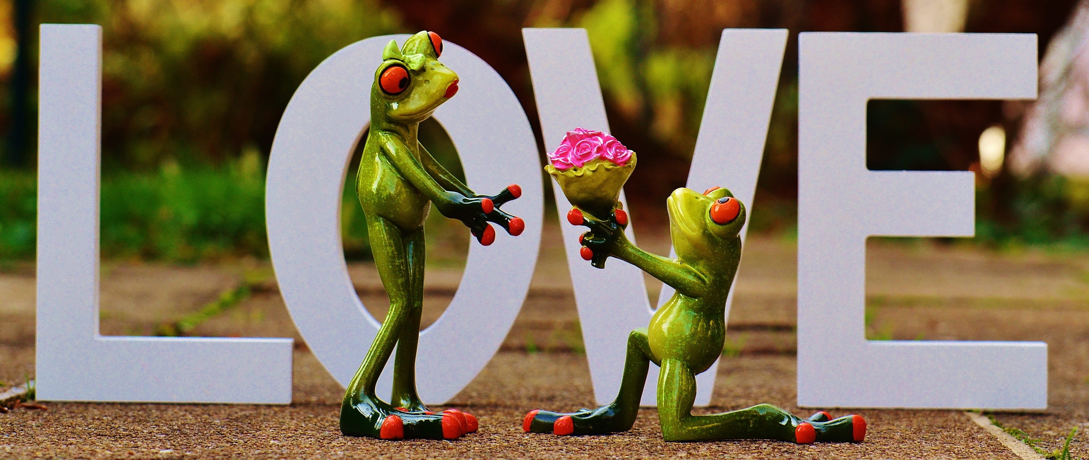 people, childhood, focus on foreground, nature, decoration, valentines day, greeting, flowers, flower, knee, gift, roses, excuse me, front, multi colored, HD Wallpaper