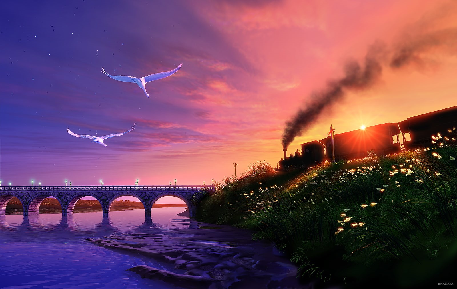 train, sky, stars, animal, 720P, water, kagaya, scenic, original, sunset, bird, clouds, grass, HD Wallpaper