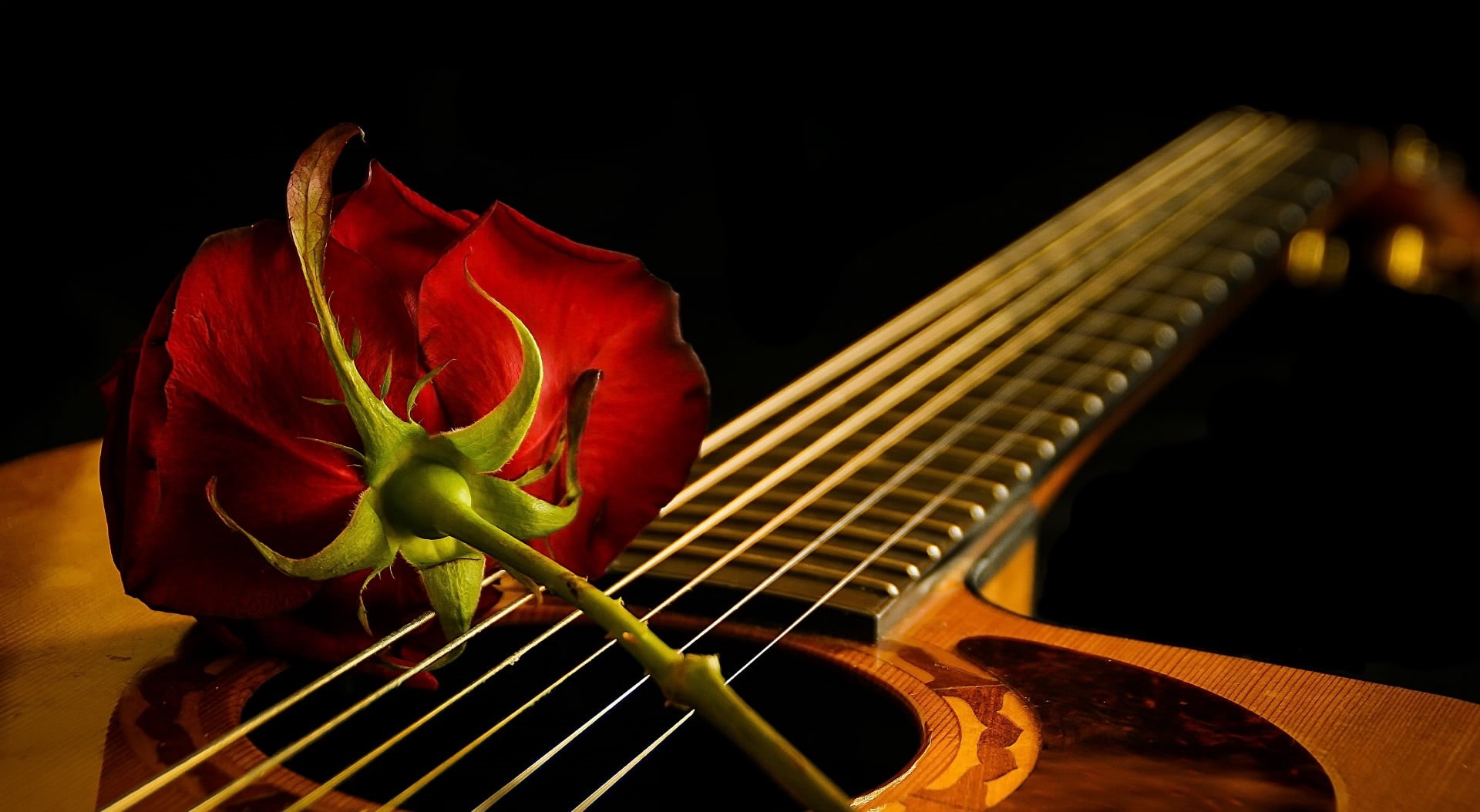 music, wood - material, no people, fretboard, freshness, close-up, 1080P, flowering plant, red flowers, acoustic guitar, string, arts culture and entertainment, HD Wallpaper