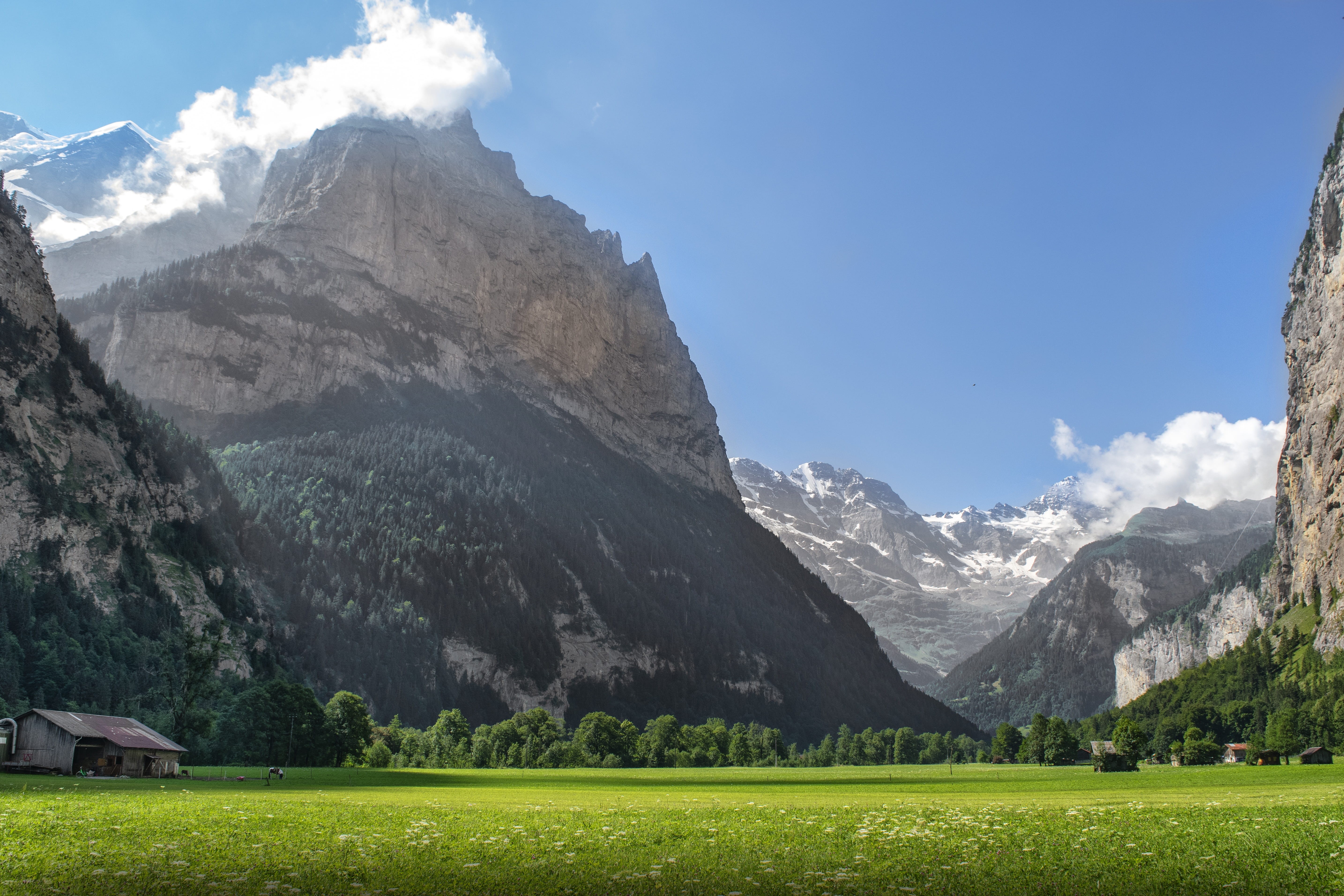 mountain peak, plant, day, outdoors, switzerland, beauty in nature, nature, tranquility, idyllic, grass, land, mountain range, non-urban scene, green color, HD Wallpaper