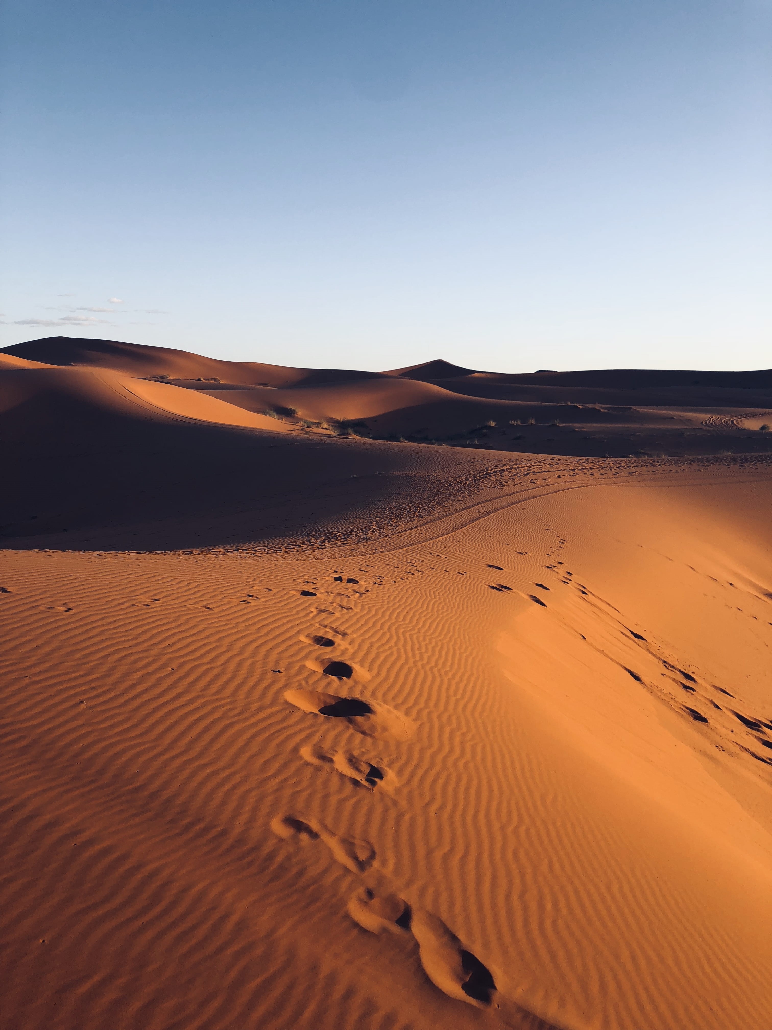 desert, outdoors, footsteps, non-urban scene, clear sky, sand, sand dune, scenics - nature, nature, land, beauty in nature, no people, day, tranquility, Phone HD Wallpaper
