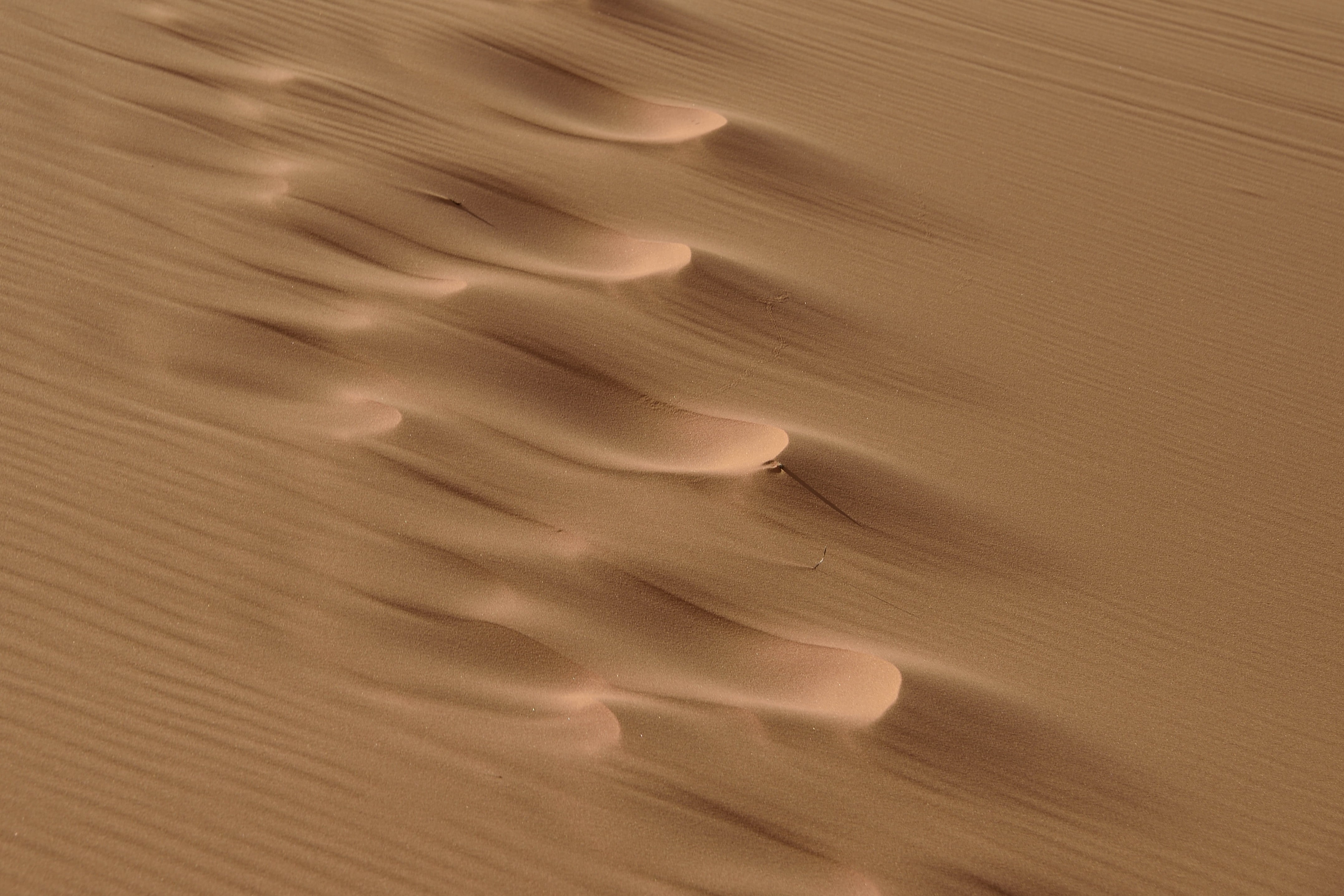 Coral Pink Sand Dunes State Park, photography, desert  Coral, aerial, Abstract, desert, pattern, sand, textured, Utah, backgrounds, aerial photography, HD Wallpaper