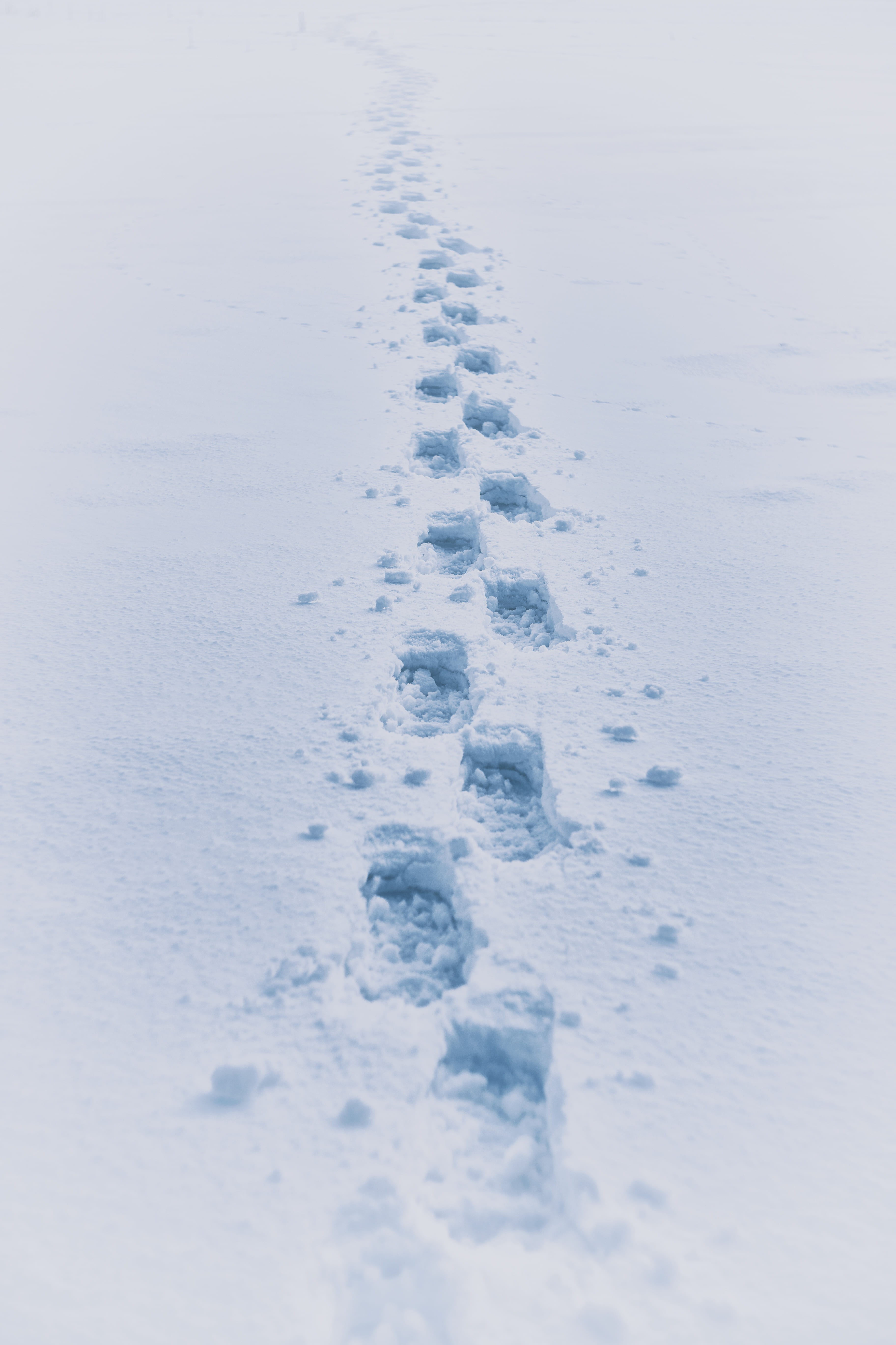 footprint, deep snow, white color, boot, cold temperature, land, outdoors, tranquility, impression, animal track, winter, field, day, snow, no people, nature, Phone HD Wallpaper
