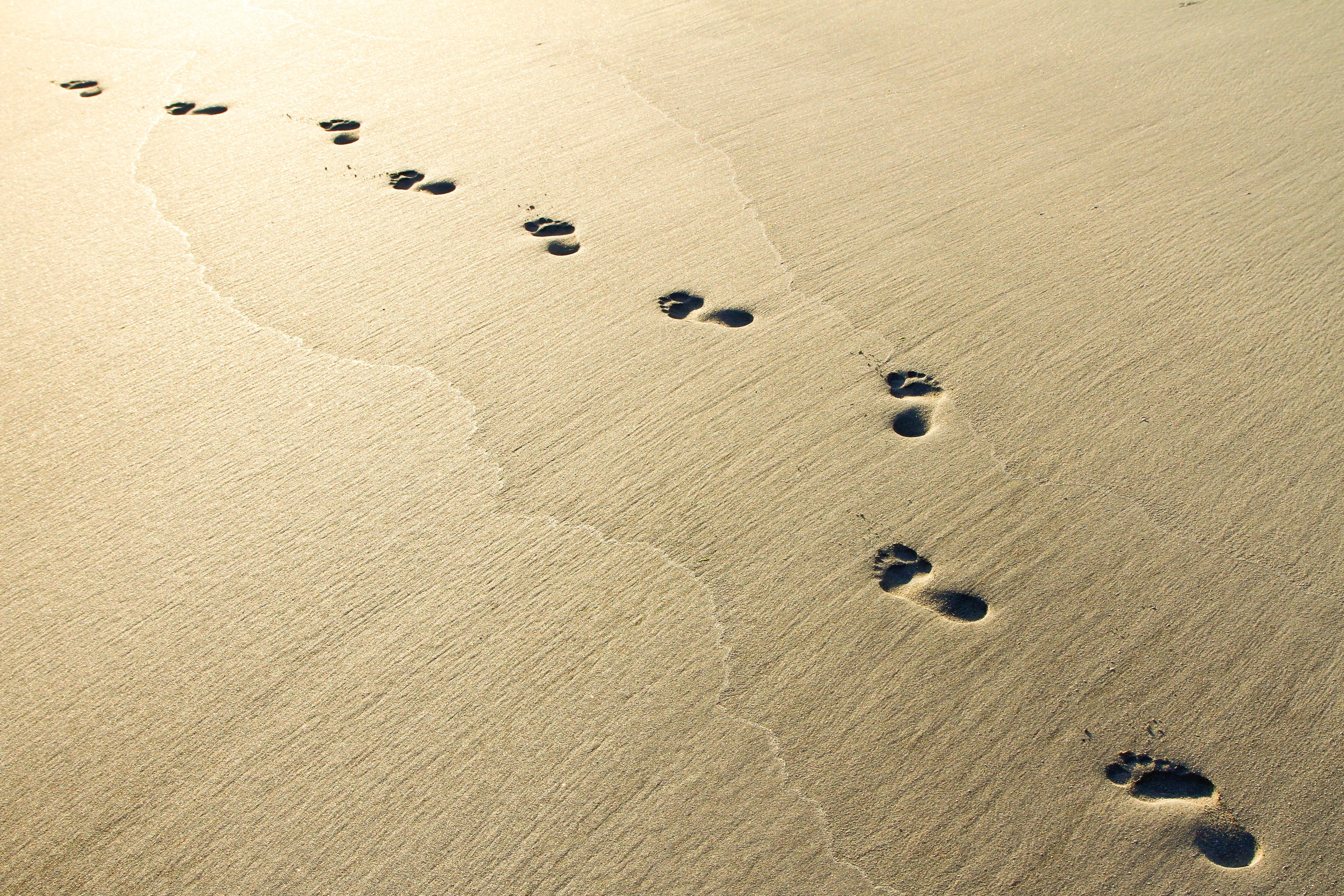 landscape, high angle view, beach, foot, tranquility, land, beauty in nature, backgrounds, track - imprint, grey, day, no people, trip, paw print, footsteps, HD Wallpaper