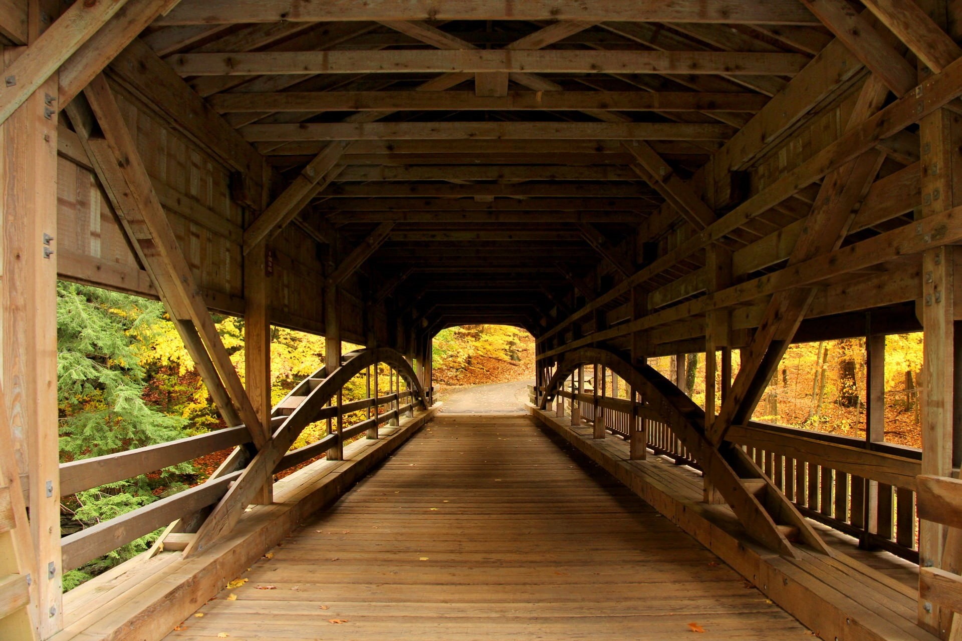 no people, nature, shadows, forest view, connection, forest, the way forward, railing, ceiling, leaves, diminishing perspective, covered bridge, old fashioned, HD Wallpaper