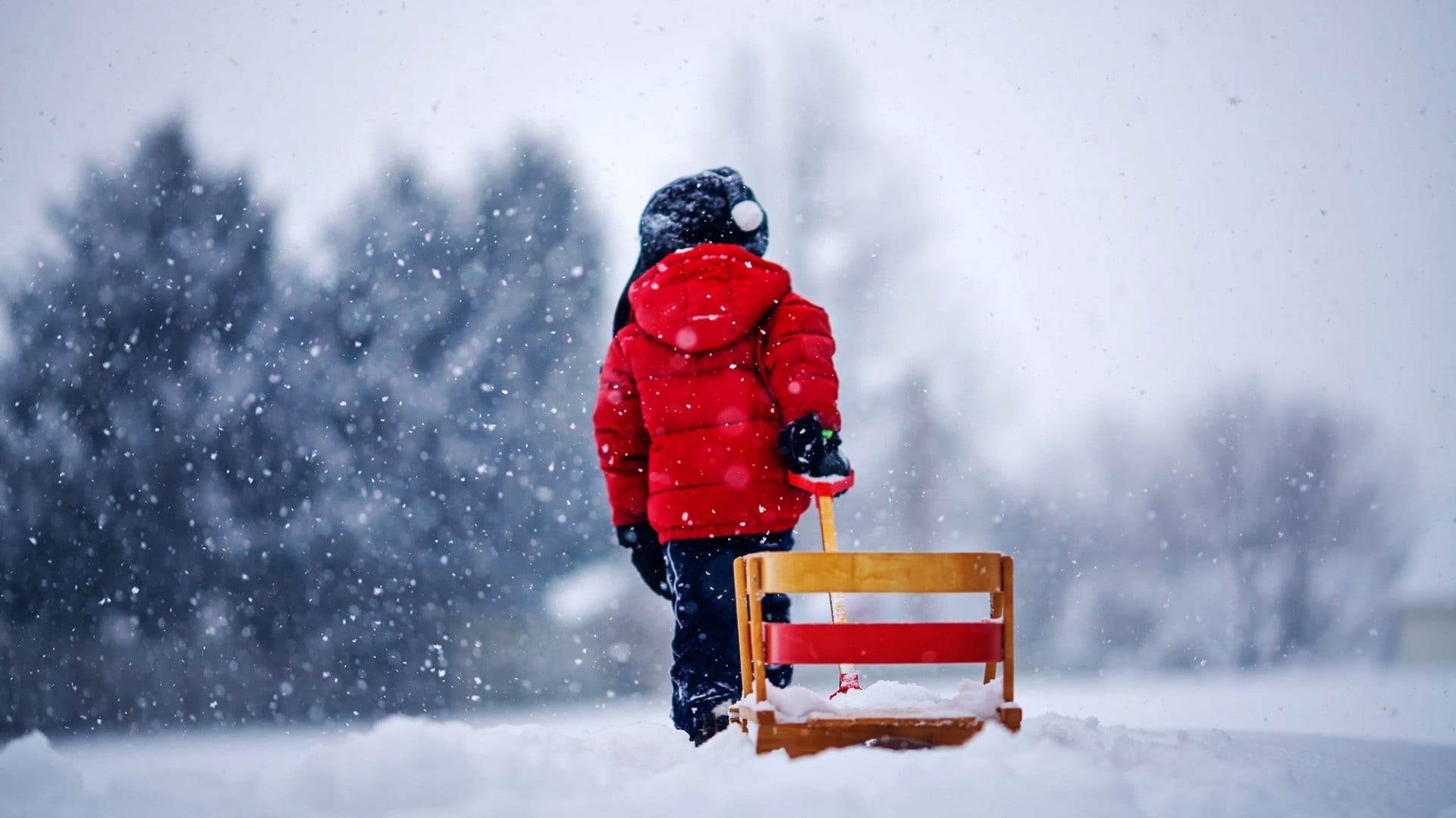 children, snowing, full length, focus on foreground, s, nature, hoodie, day, outdoors, winter coat, sleigh, snow, blizzard, rear view, one person, clothing, HD Wallpaper