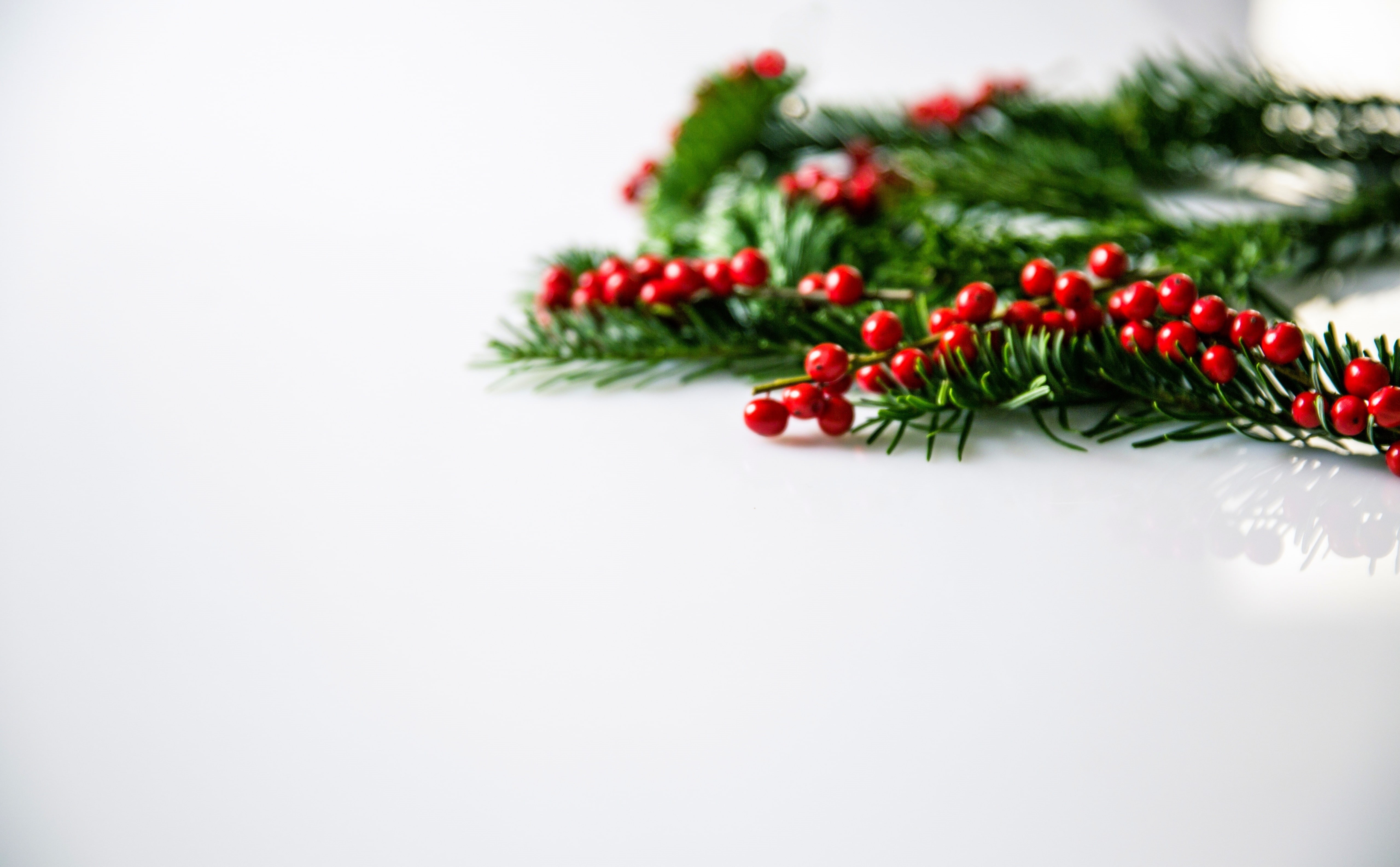 White, holiday, indoors, christmasparty, berry fruit, close-up, Deco, christmasbell, no people, pine tree, Items, firtree, christmas ornament, Decorate, HD Wallpaper