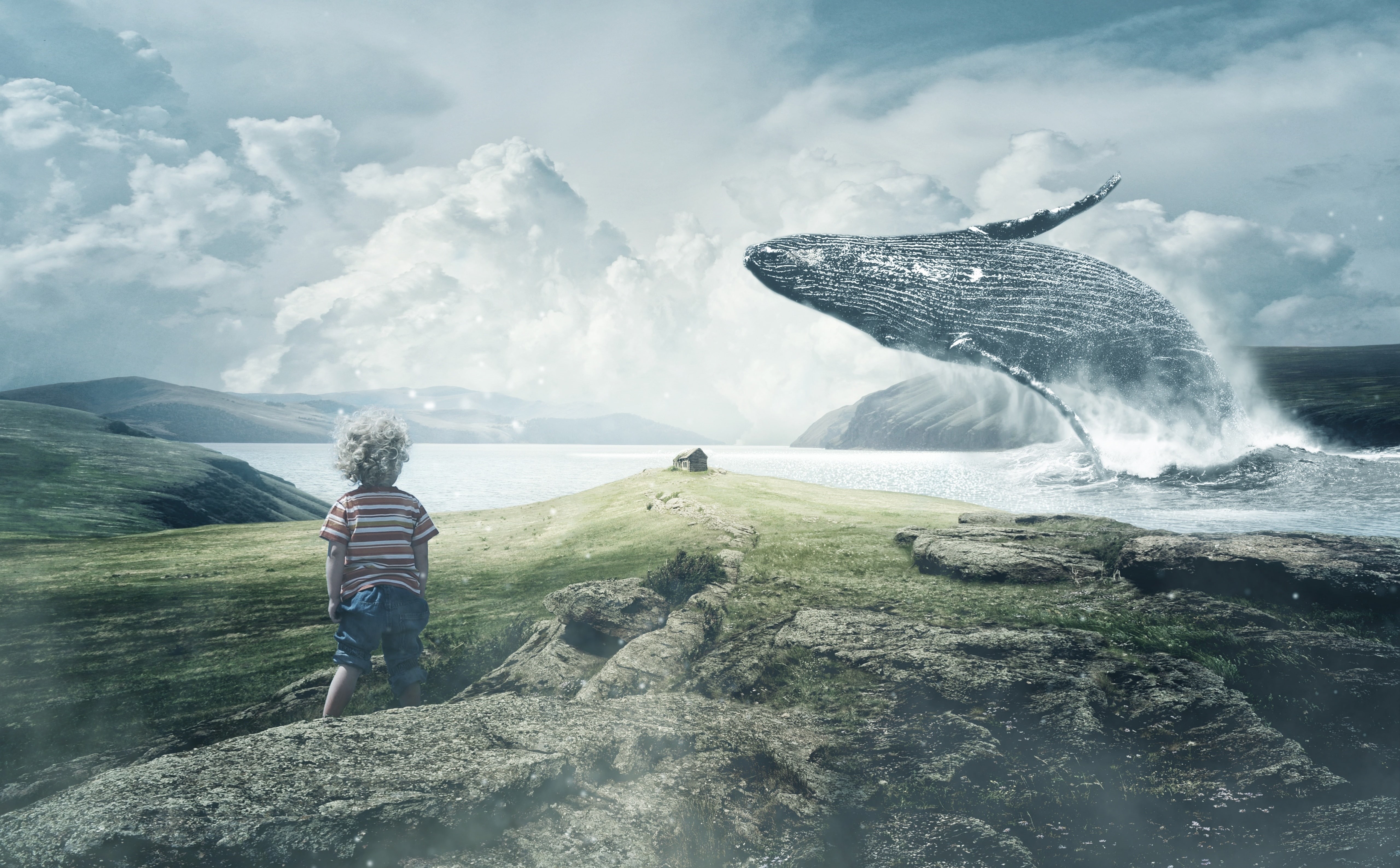 5K, outdoors, photomanipulation, Wild, wallppaer, Ocean, leisure activity, jumps, vertebrate, Curly, lifestyles, motion, standing, sky, cloud - sky, digital, HD Wallpaper