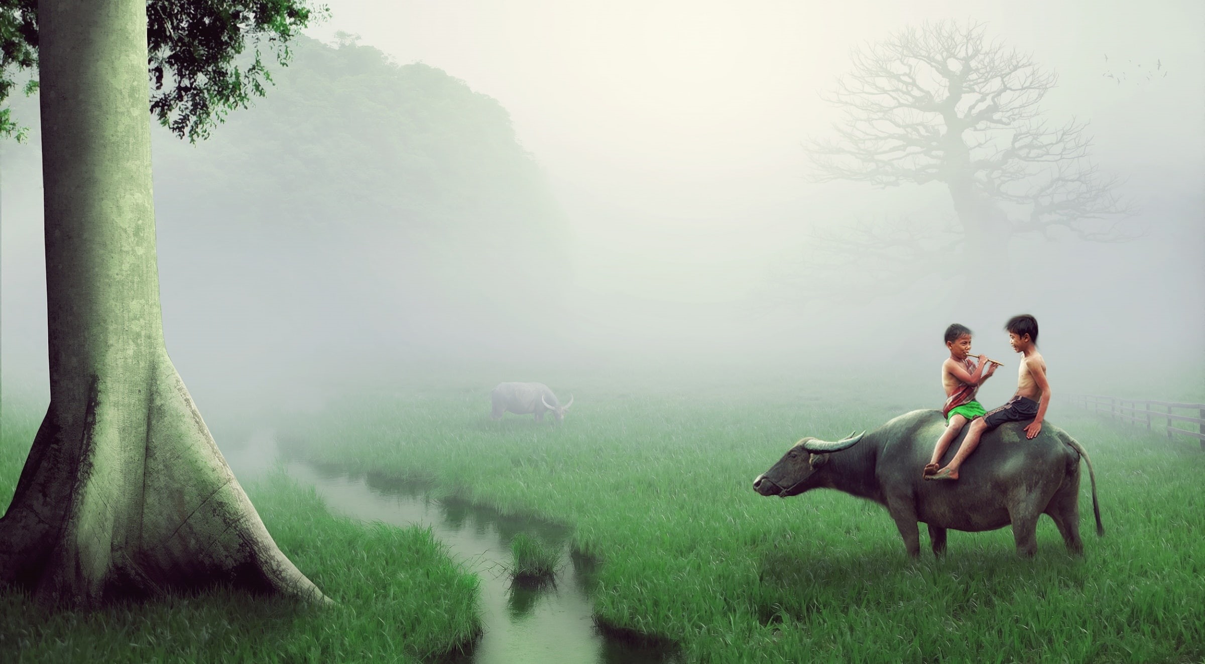 green, Children, photomanipulation, Creative, nakrani, Aero, kids, Animal, photoshop, parimal, fantasy, paradiseofcreativity, farm, 1080P, HD Wallpaper