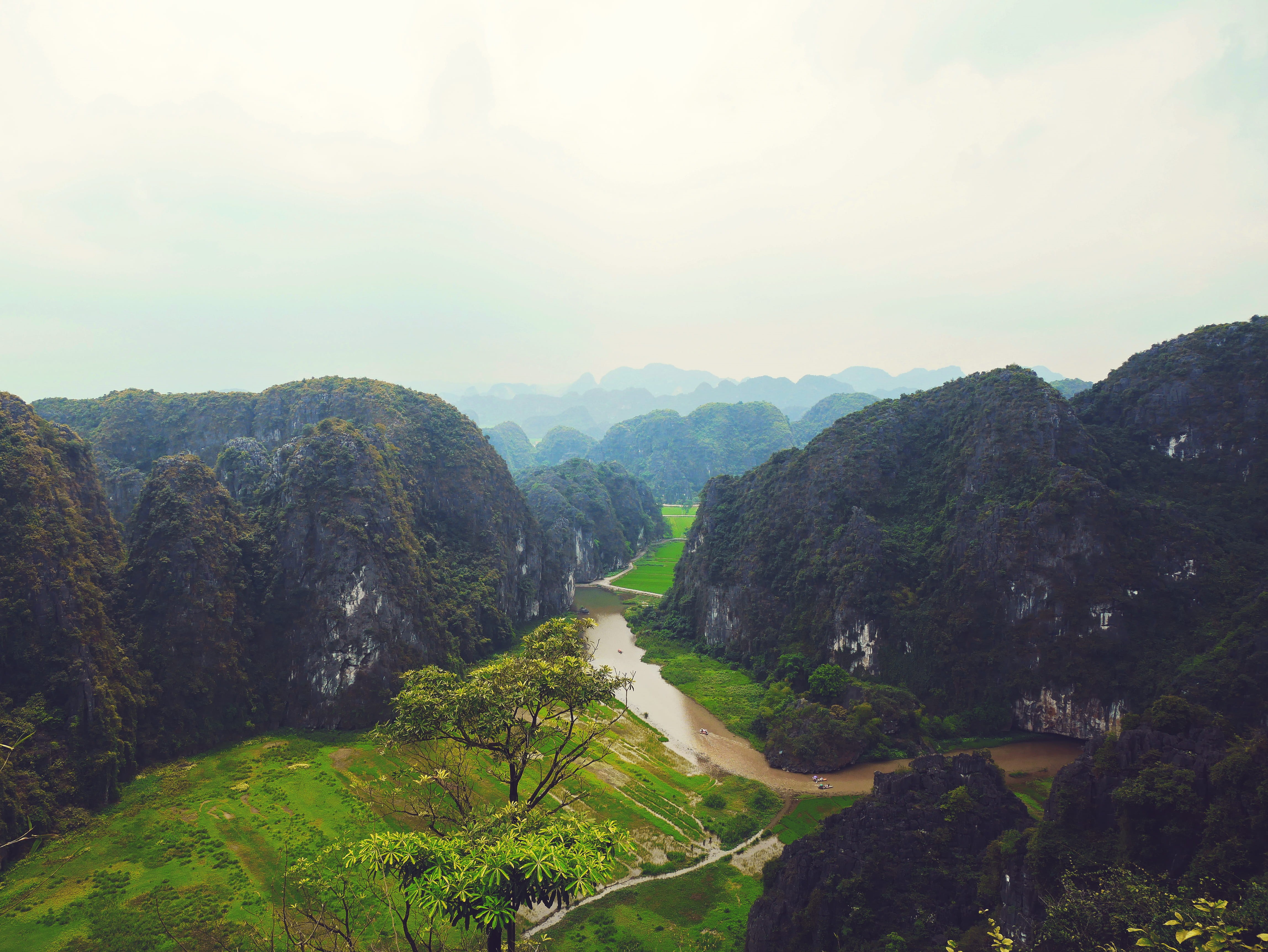 halong bay, cloud - sky, tranquil scene, rice paddies, tranquility, young traveler, ha long bay, ha long, day, remote, traveling, tam coc valley, landscape, HD Wallpaper