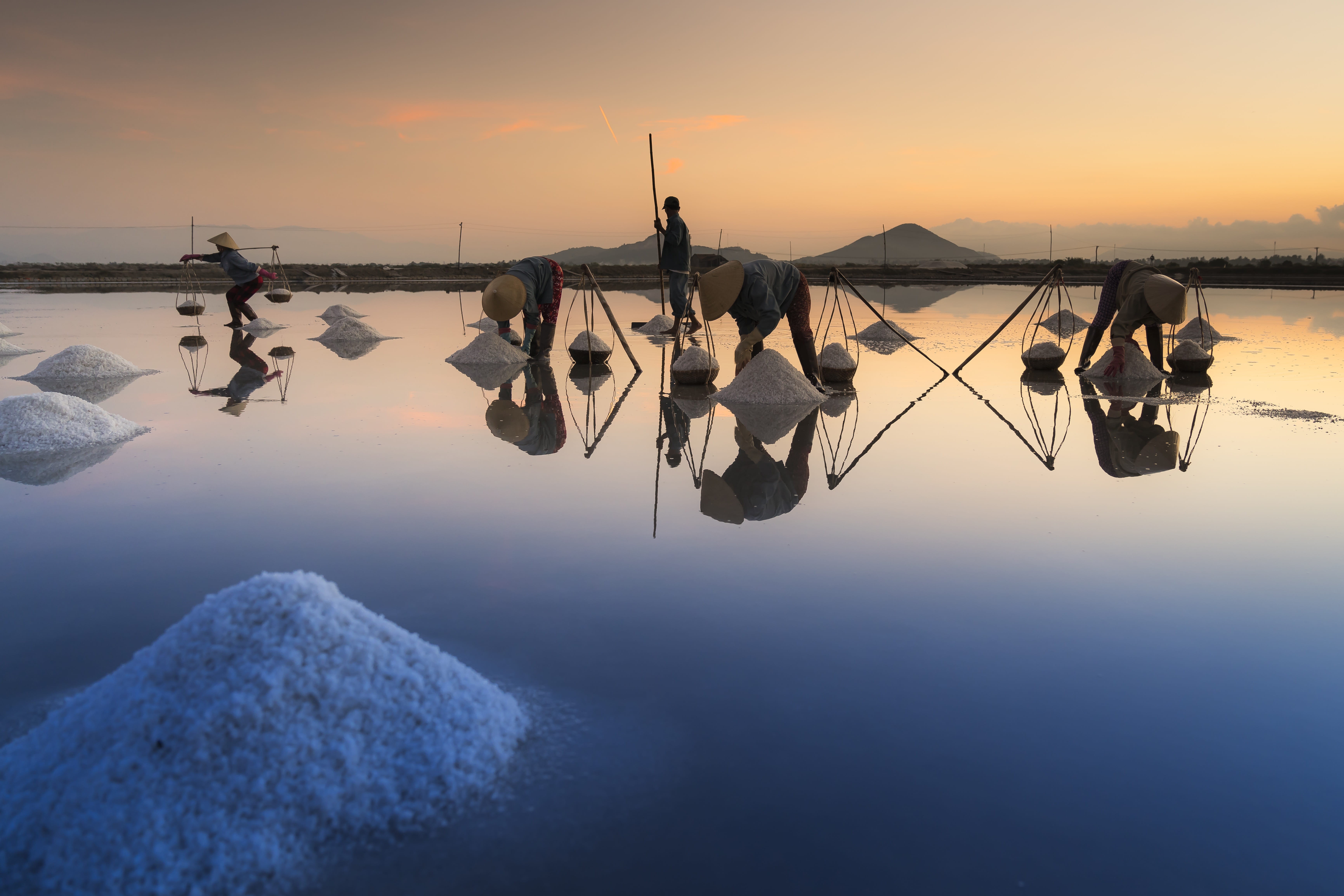 the sea, farm, khanh hoa, farmer, 5K, women, solid, no people, dawn, green, agriculture, people, daytime, non-urban scene, idyllic, ninh thuan, beauty in nature, HD Wallpaper