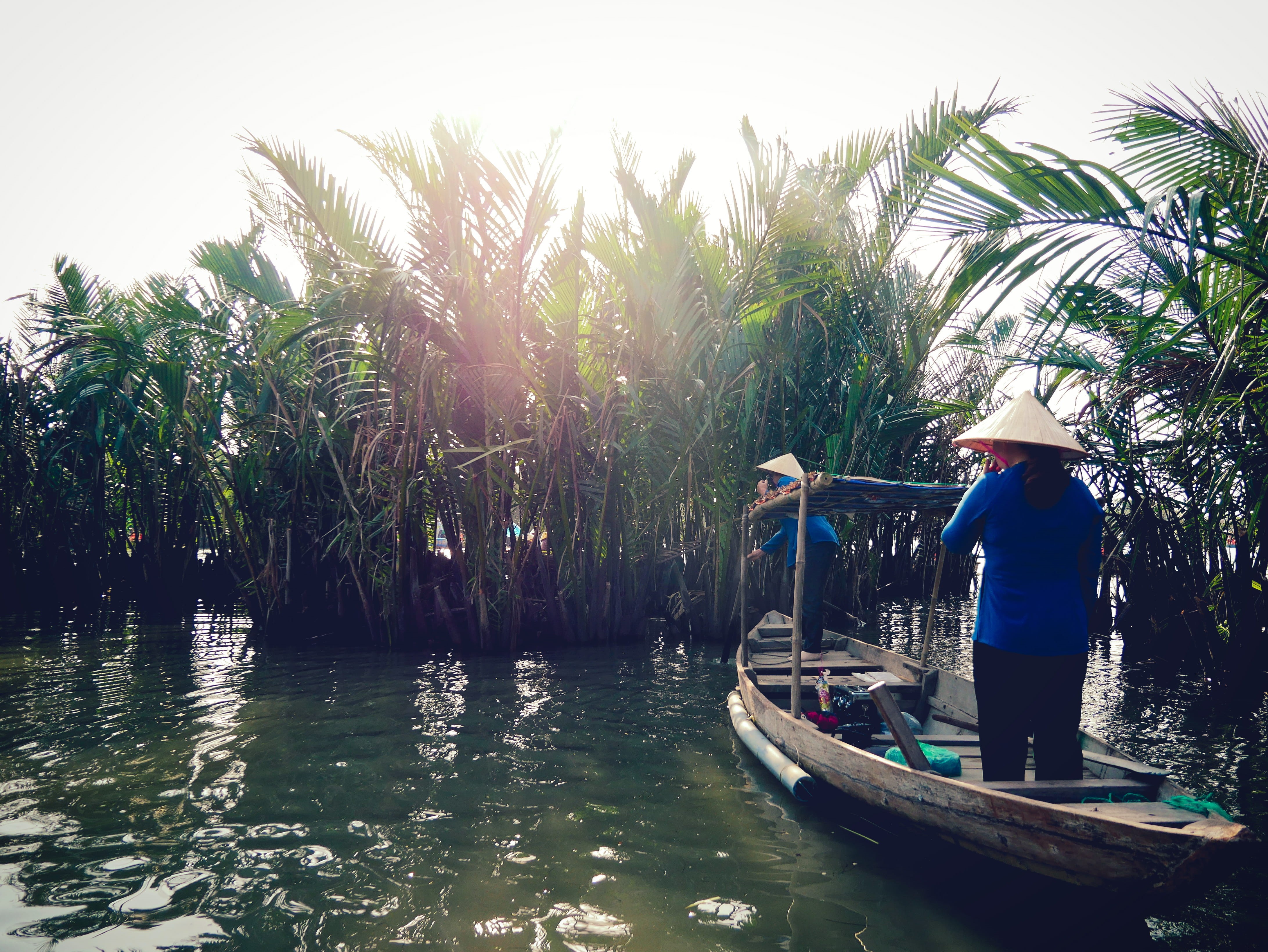 outdoors, vietnam, coconut trees, asian style conical hat, real people, tree, hat, waterfront, rear view, growth, asia, vietnamese travel, nautical vessel, HD Wallpaper