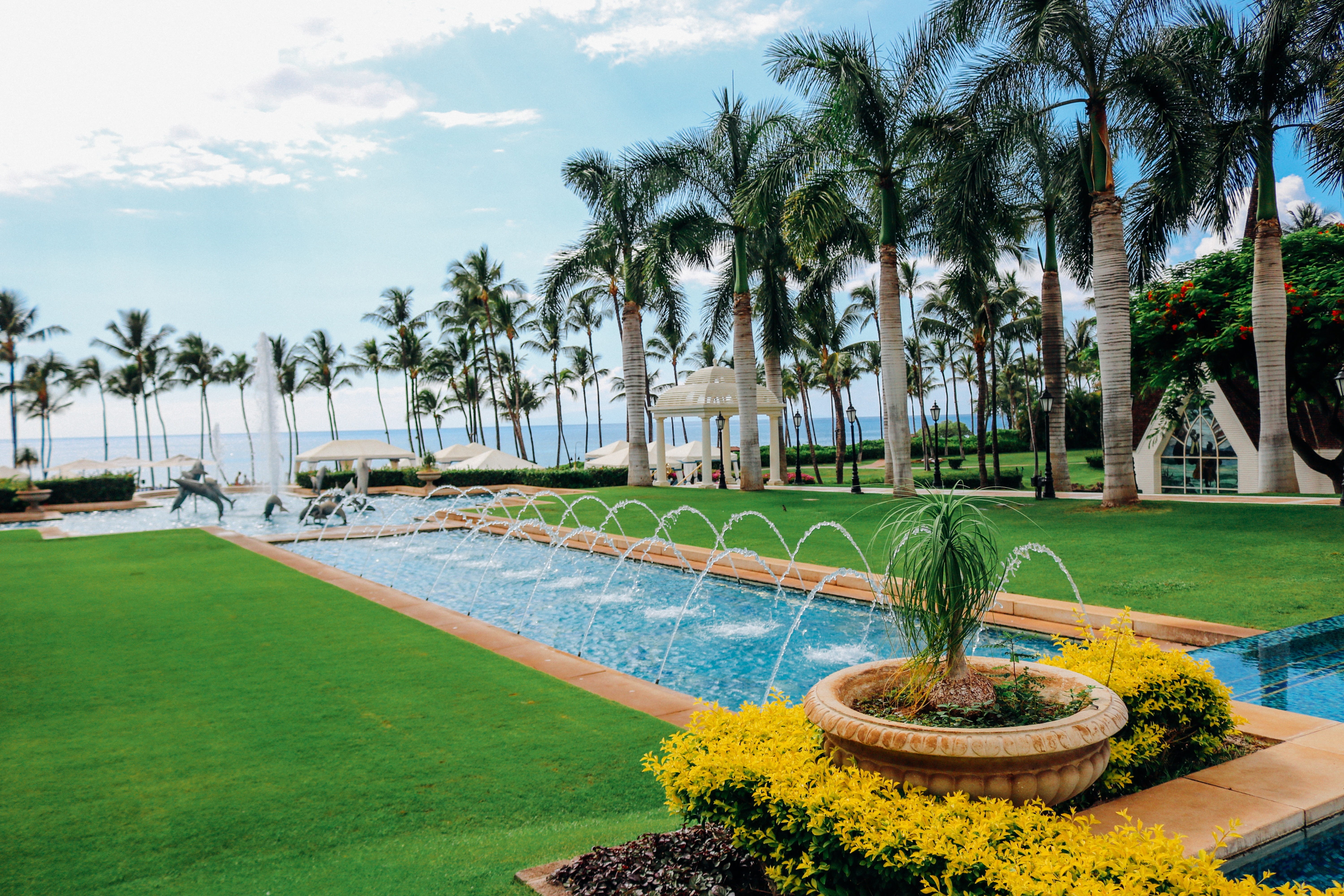 pool water, plant, hotel service, trees, coconut, relaxation, green Color, tree, nature, blue, grass, design, beach, business, relax, travel Locations, HD Wallpaper