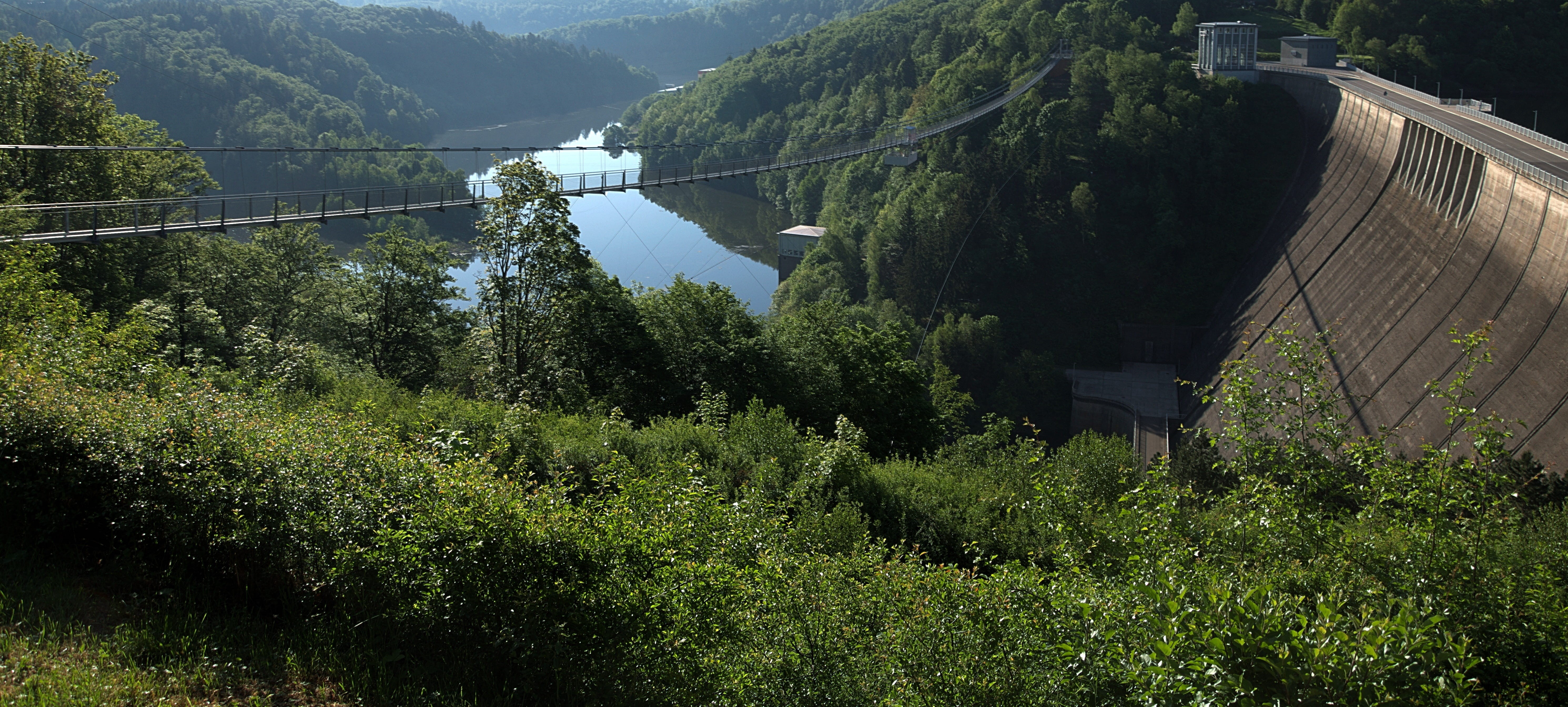 fuel and Power Generation, scenics - nature, tree, built structure, mountain, bridge, longest, tranquility, beauty in nature, tranquil scene, dam, rappbodetalsperre, HD Wallpaper