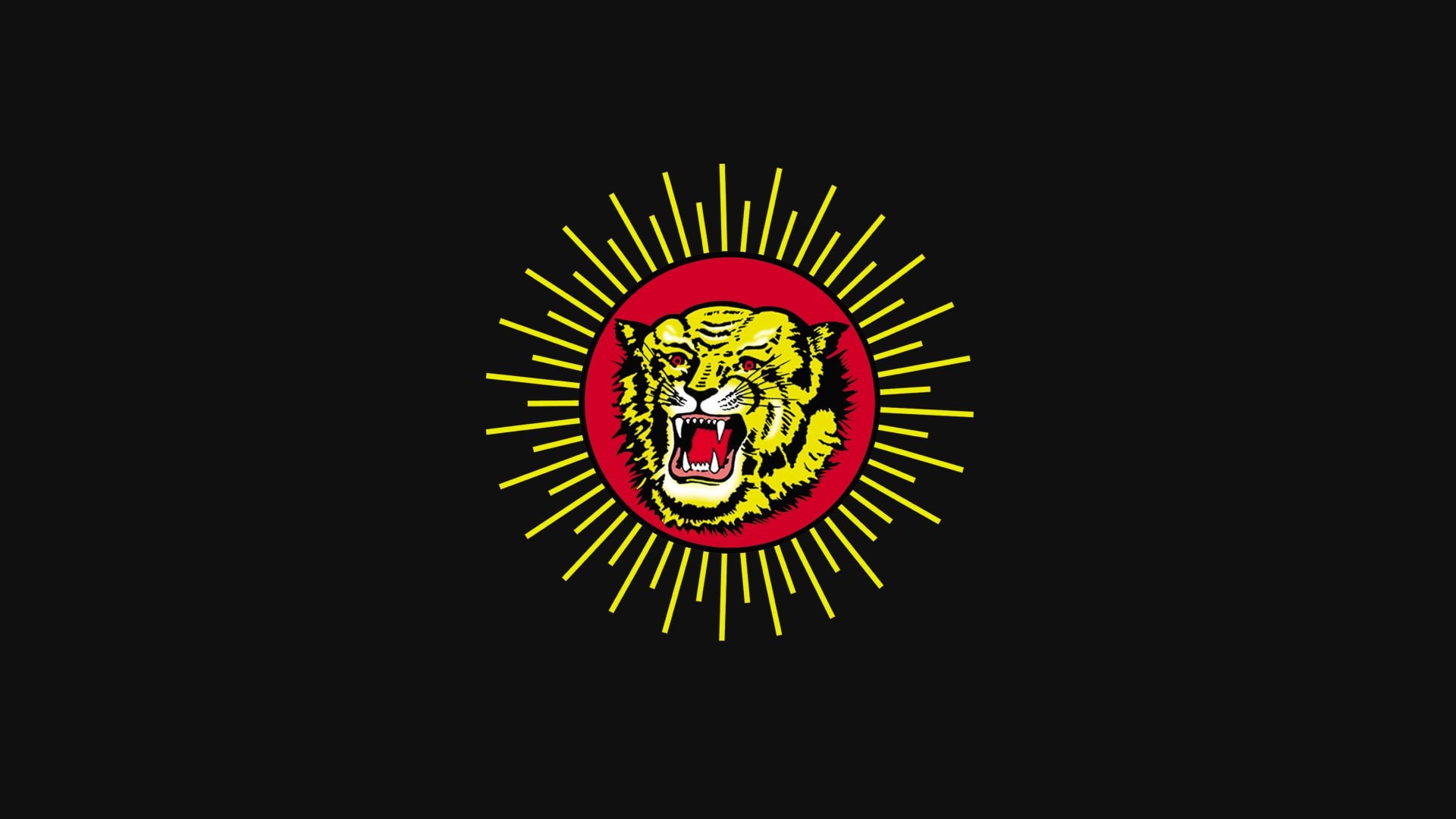 1080P, Flag, Tiger, Naam Tamilar, NTK, Tamil nadu, HD Wallpaper