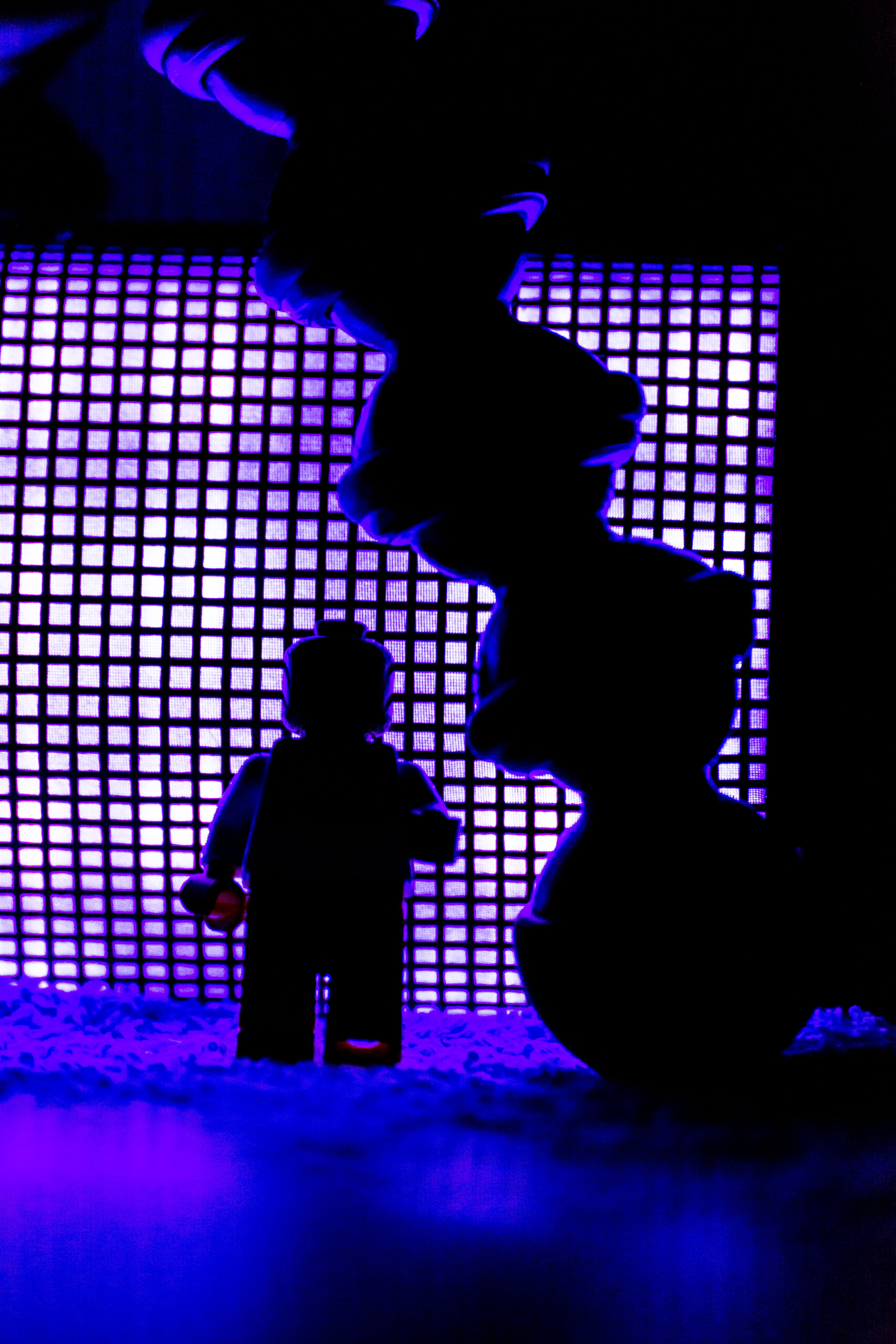 illuminated, light, silhouette, purple, joby, disco dancing, women, india, enjoyment, lego, dancing, arts culture and entertainment, night, nightclub, nightlife, Phone HD Wallpaper
