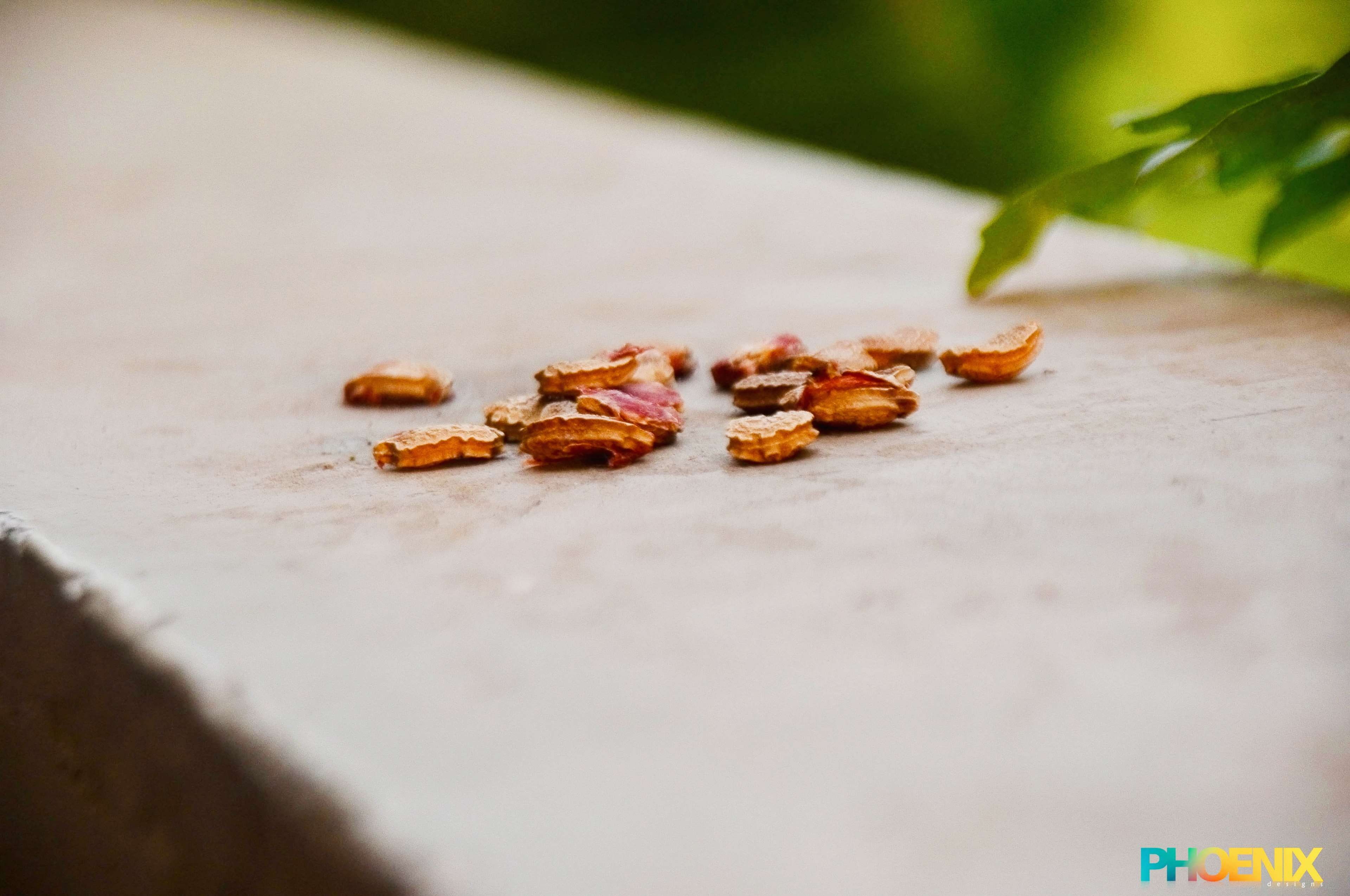 4K, freshness, green, nikon, outdoors, photography, food and drink, plant part, nut, nature, indian, healthy eating, snack, surface level, wellbeing, leaf, HD Wallpaper
