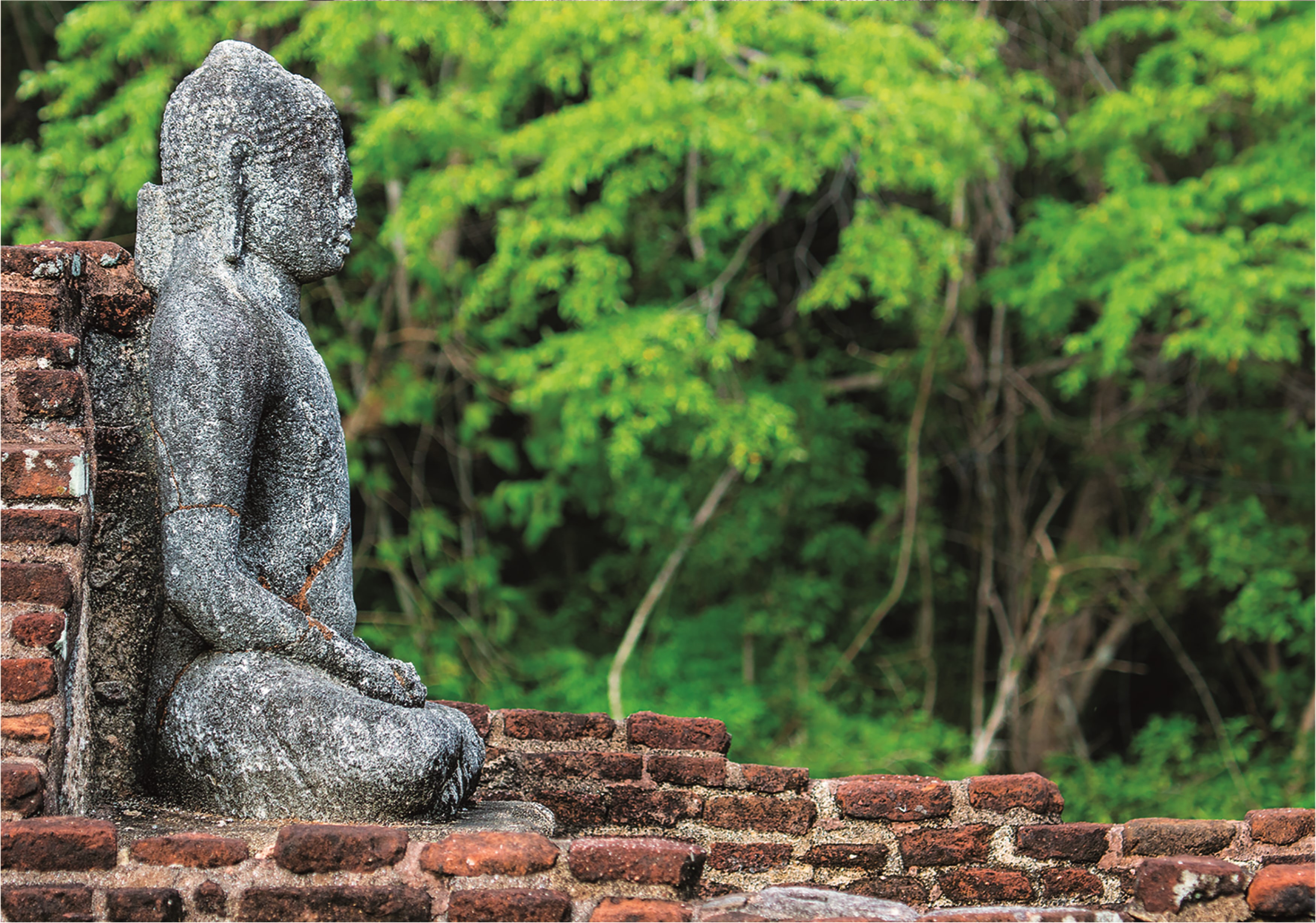 art and craft, polonnaruwa, nature, worship, red, creativity, person, human, belief, spirituality, plant, sculpture, wall, art, human representation, gray, HD Wallpaper