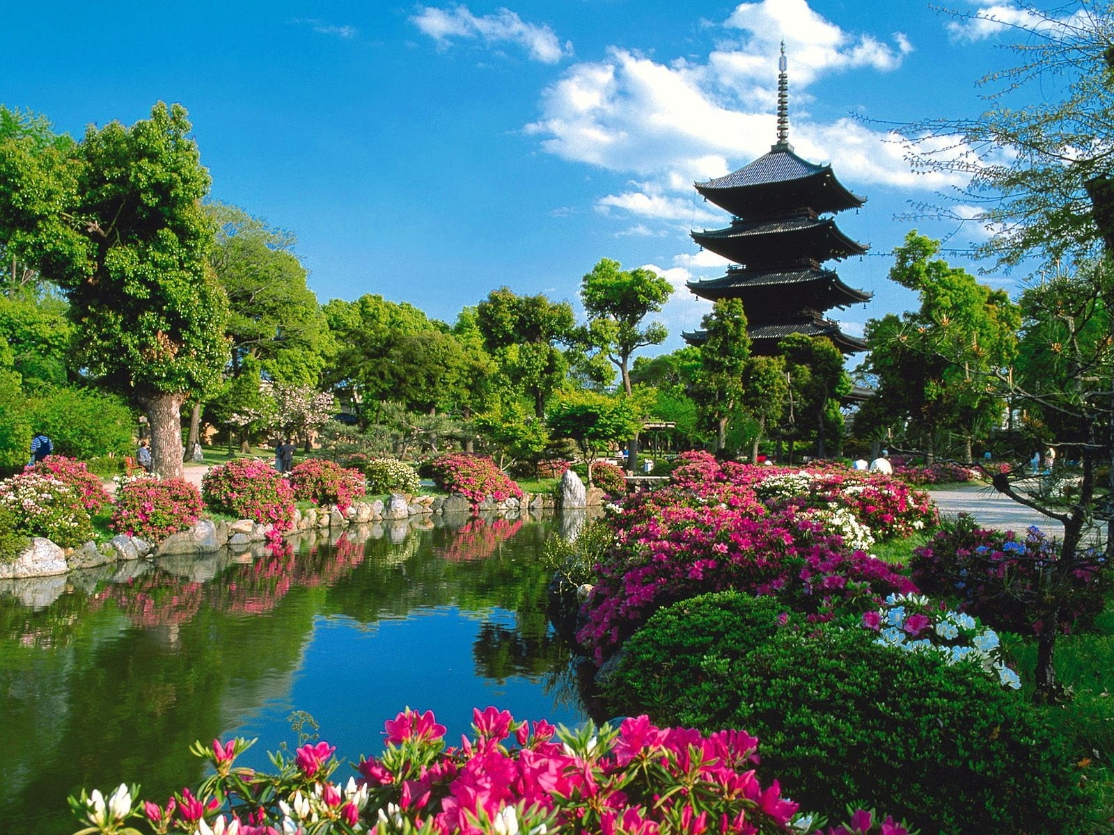 nature, formal garden, tree, water, flowers, no people, pond, reflection, outdoors, tranquility, flowering plant, day, pagoda, ornamental garden, lake, HD Wallpaper