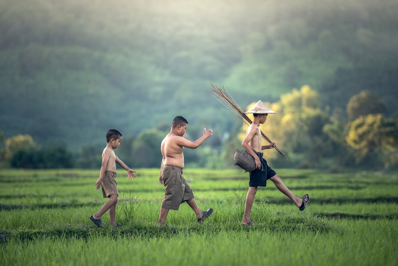 plant, group of people, shorts, Thailand, togetherness, running, childhood, 720P, outdoors, full length, boys, grass, males, friendship, real people, lifestyles, HD Wallpaper