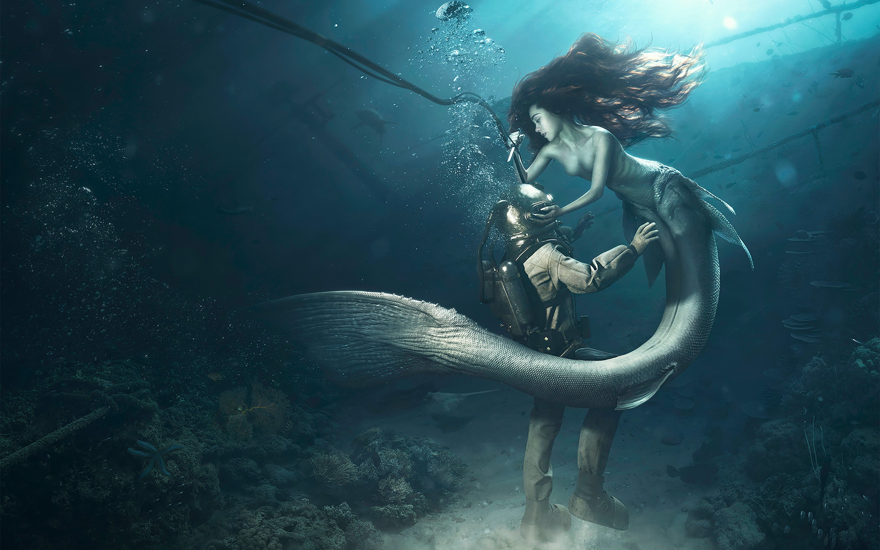 diver, mermaid, 2K, HD Wallpaper