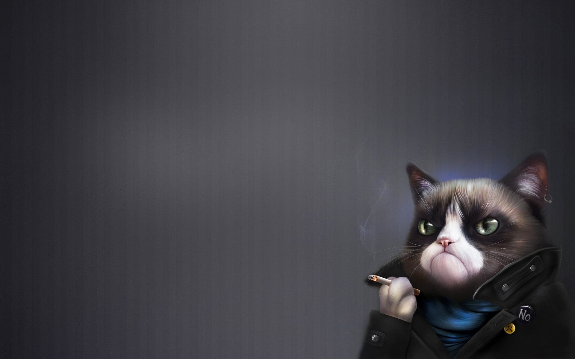 cigarette, domestic, Grumpy Cat, portrait, close-up, front view, copy space, people, Art, kitten, small, looking, curiosity, looking at camera, HD Wallpaper