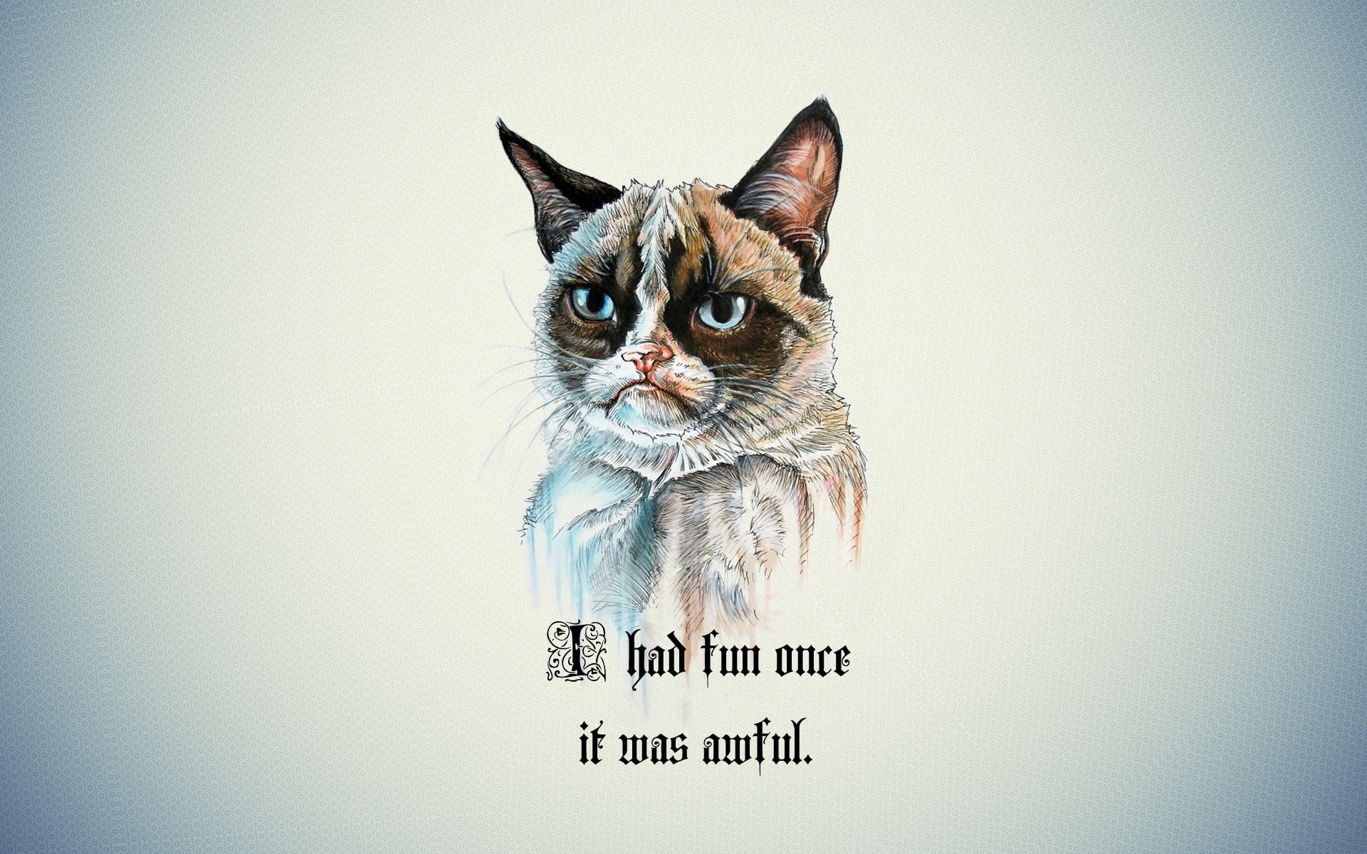 cartoon, 1080P, grumpy, grumpy cat, quote, cat, HD Wallpaper