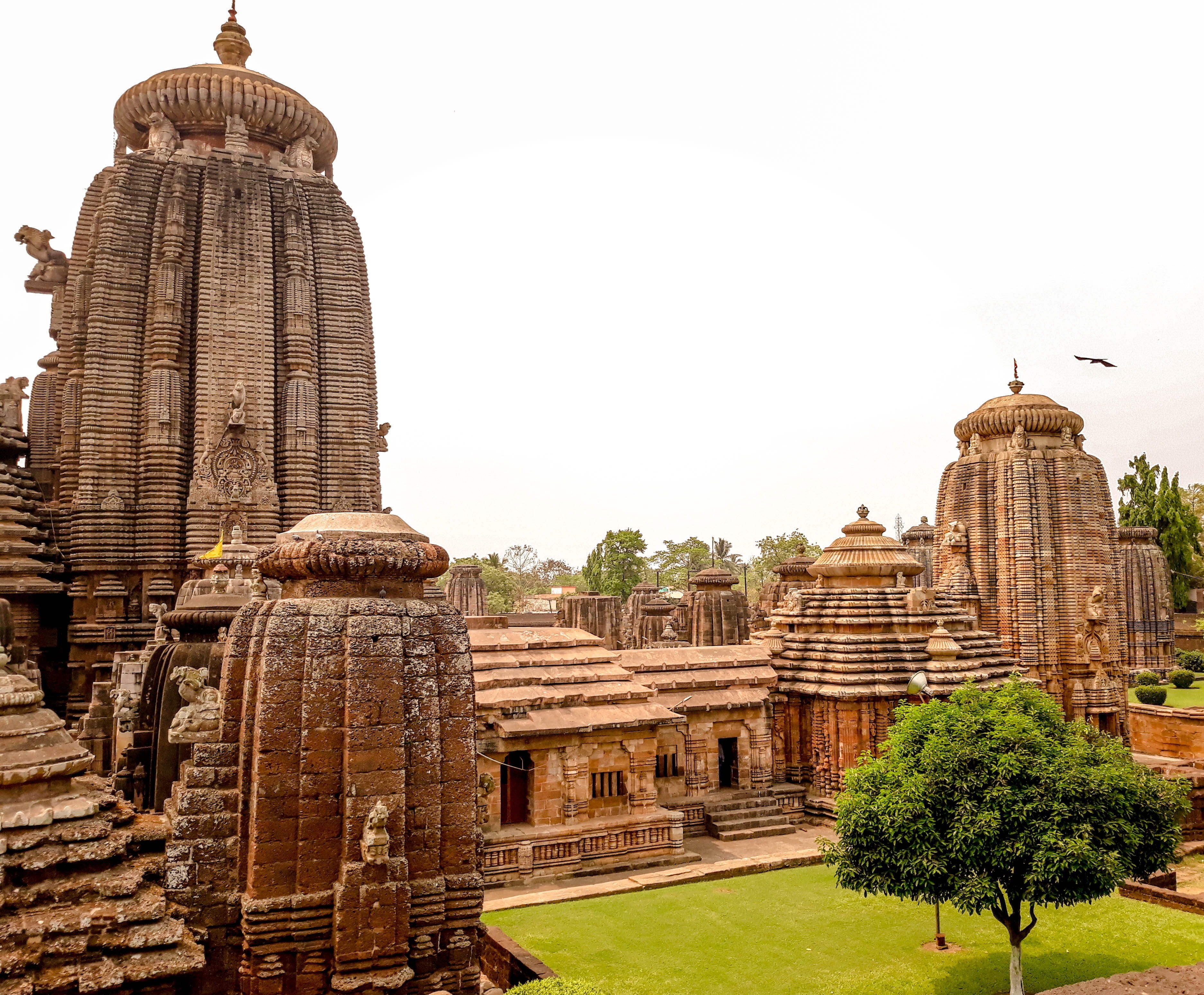travel destinations, the past, tourism, plant, archaeology, religion, built structure, sky, temple, tree, building exterior, no people, belief, nature, HD Wallpaper
