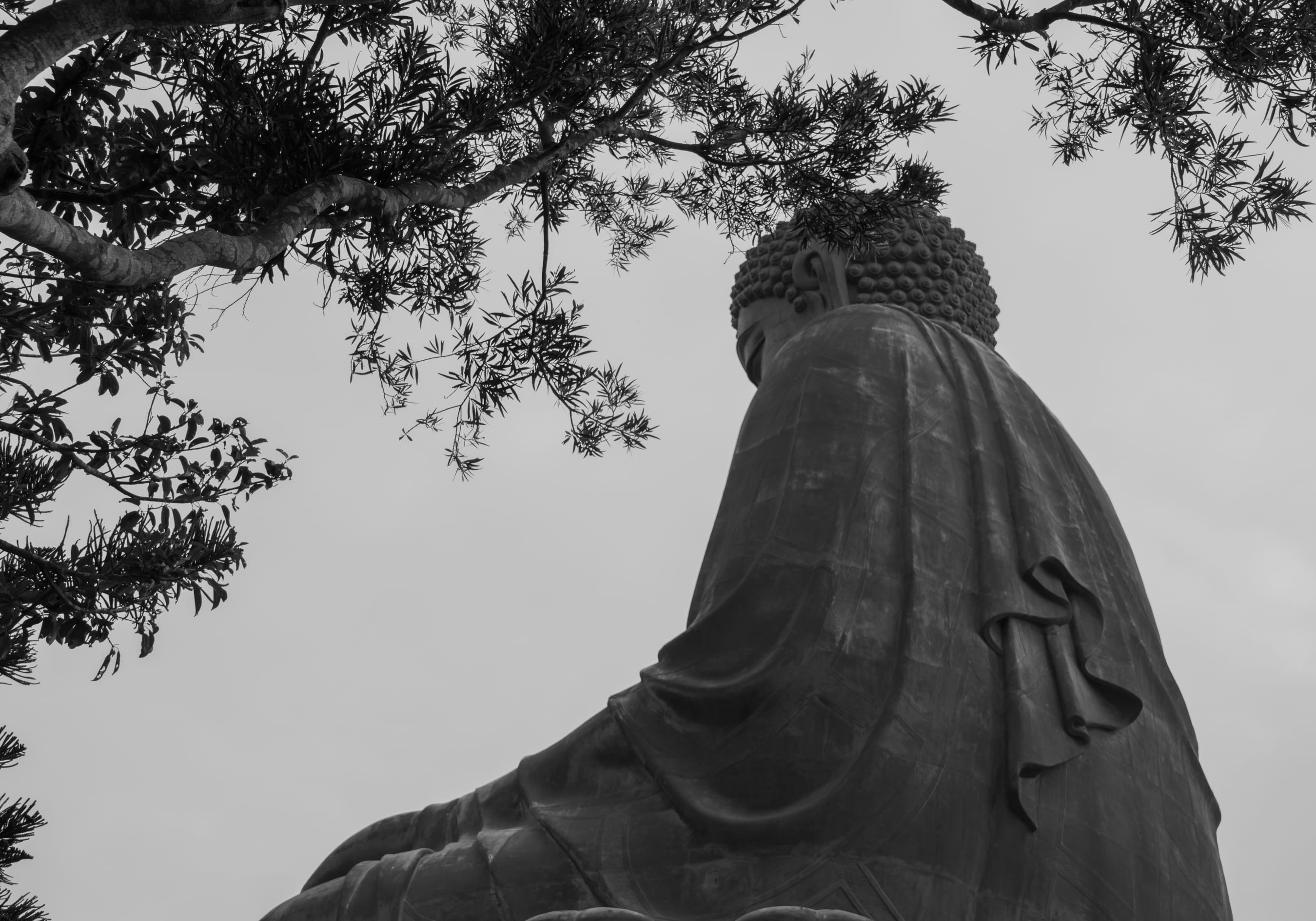 architecture, buddha, north india, low angle view, idol, temple, belief, lantau island, 2K, creativity, human, place of worship, day, building, sky, tree, HD Wallpaper