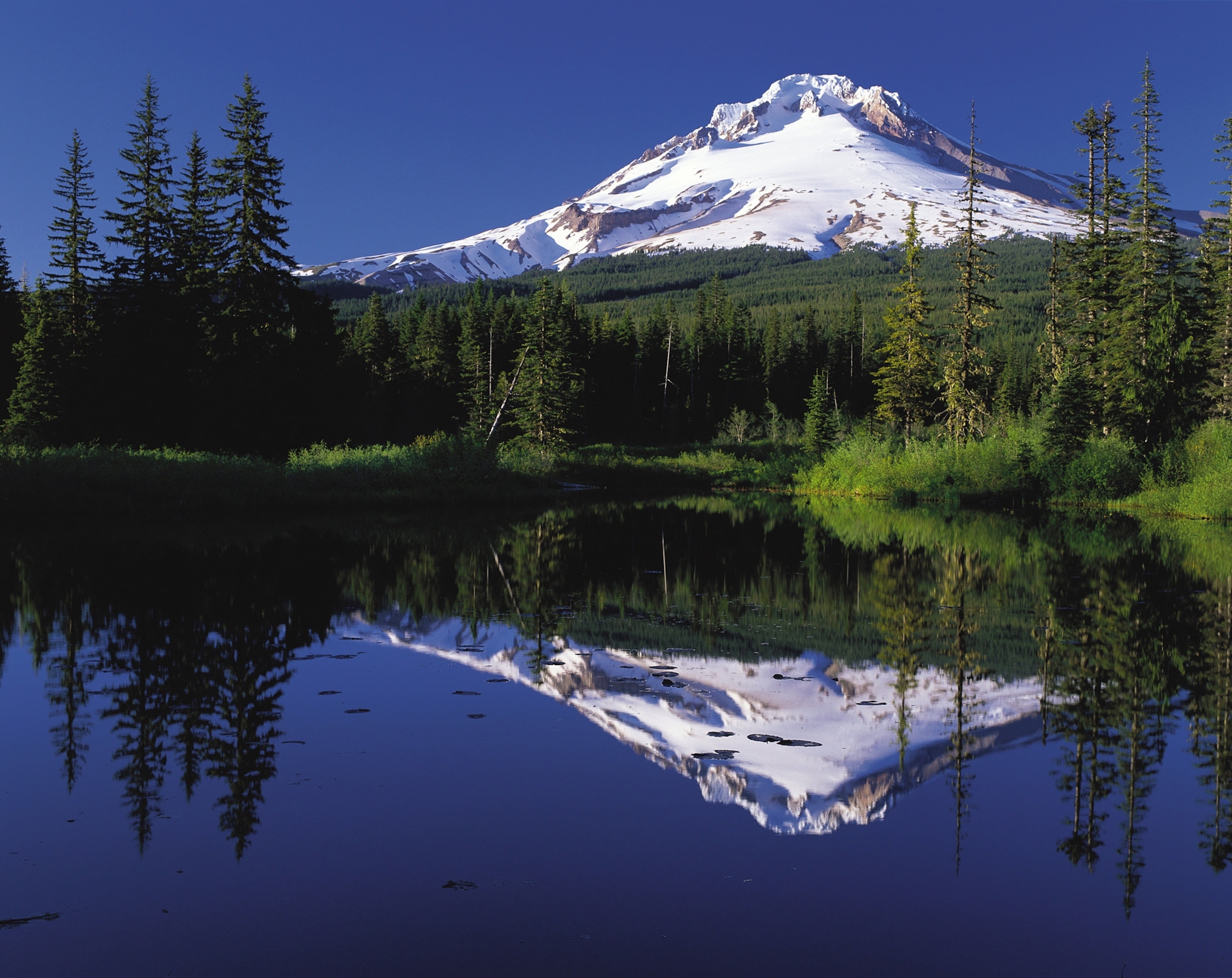 tourist attraction, winter, day, pine tree, covered, reflection, tranquility, mount hood, tree, outdoors, plant, blue, mountain peak, wilderness, sky, no people, HD Wallpaper