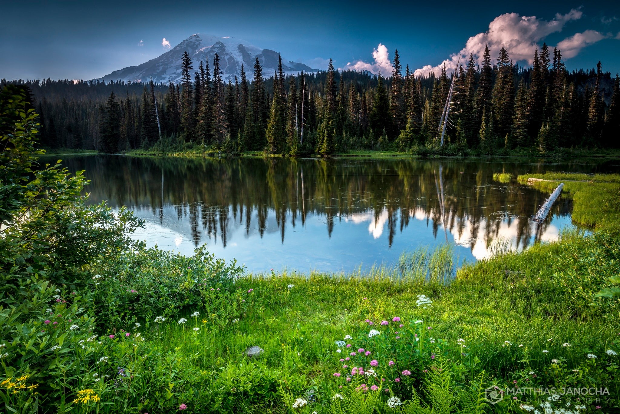 stratovolcano, mountain, USA, Washington, summer, state, forest, Rainier, 1080P, lake, flowers, HD Wallpaper