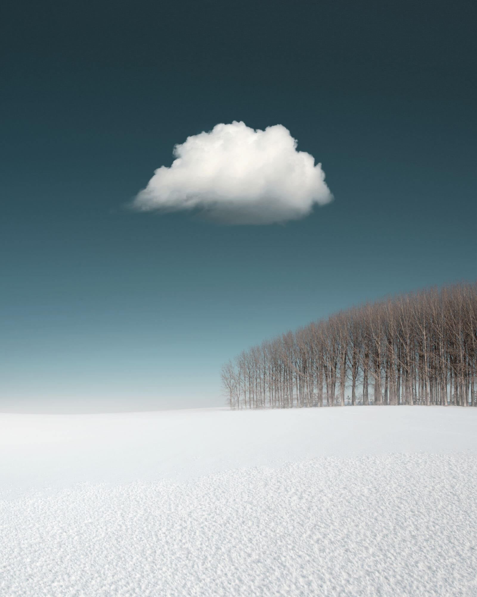 Paluse, Benjamin Everett, 1080P, Hasselblad, Phone HD Wallpaper