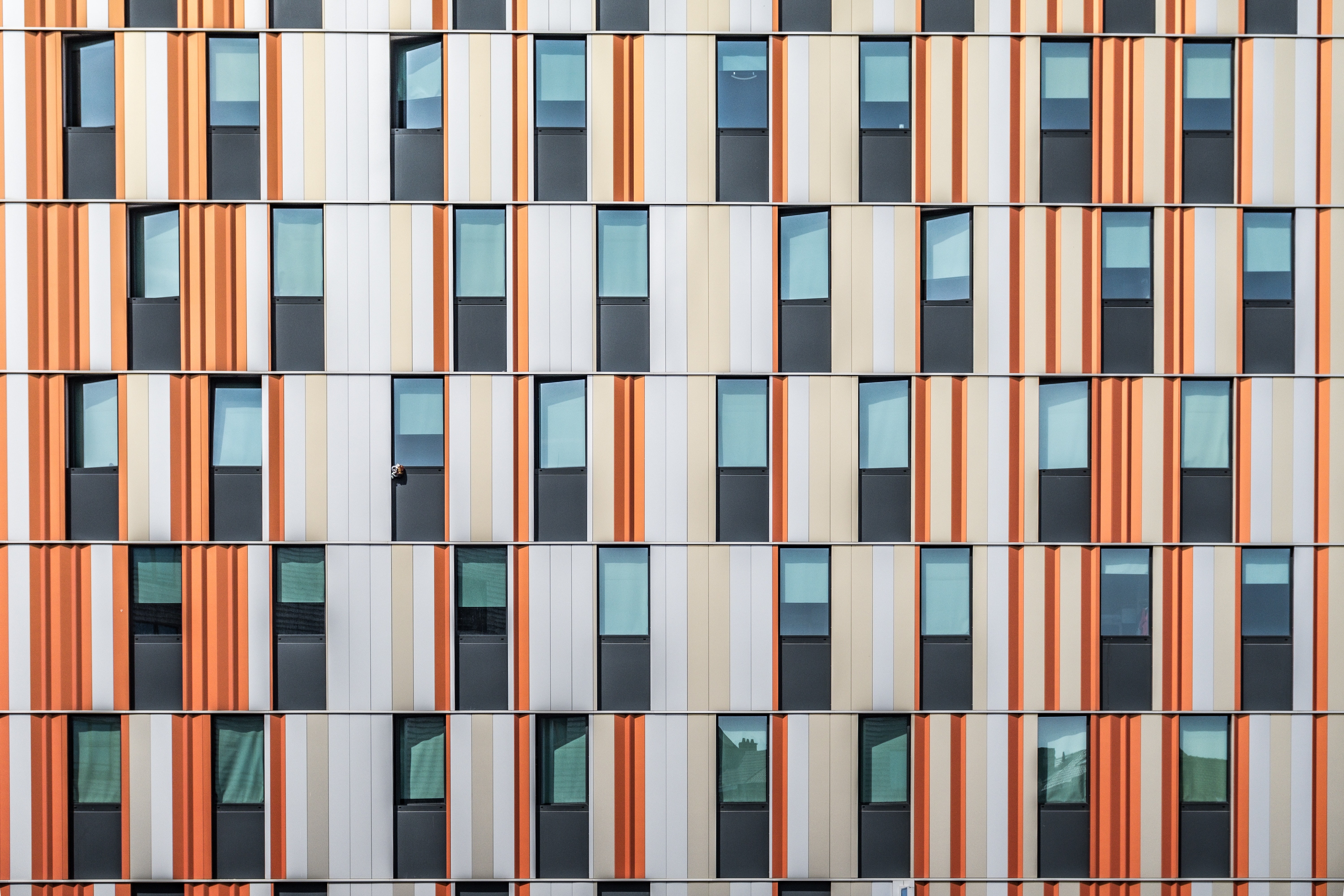 5K, backgrounds, building, multi colored, design, Symmetrical, day, large group of objects, Hotel, built structure, collection, shape, side by side, building exterior, HD Wallpaper