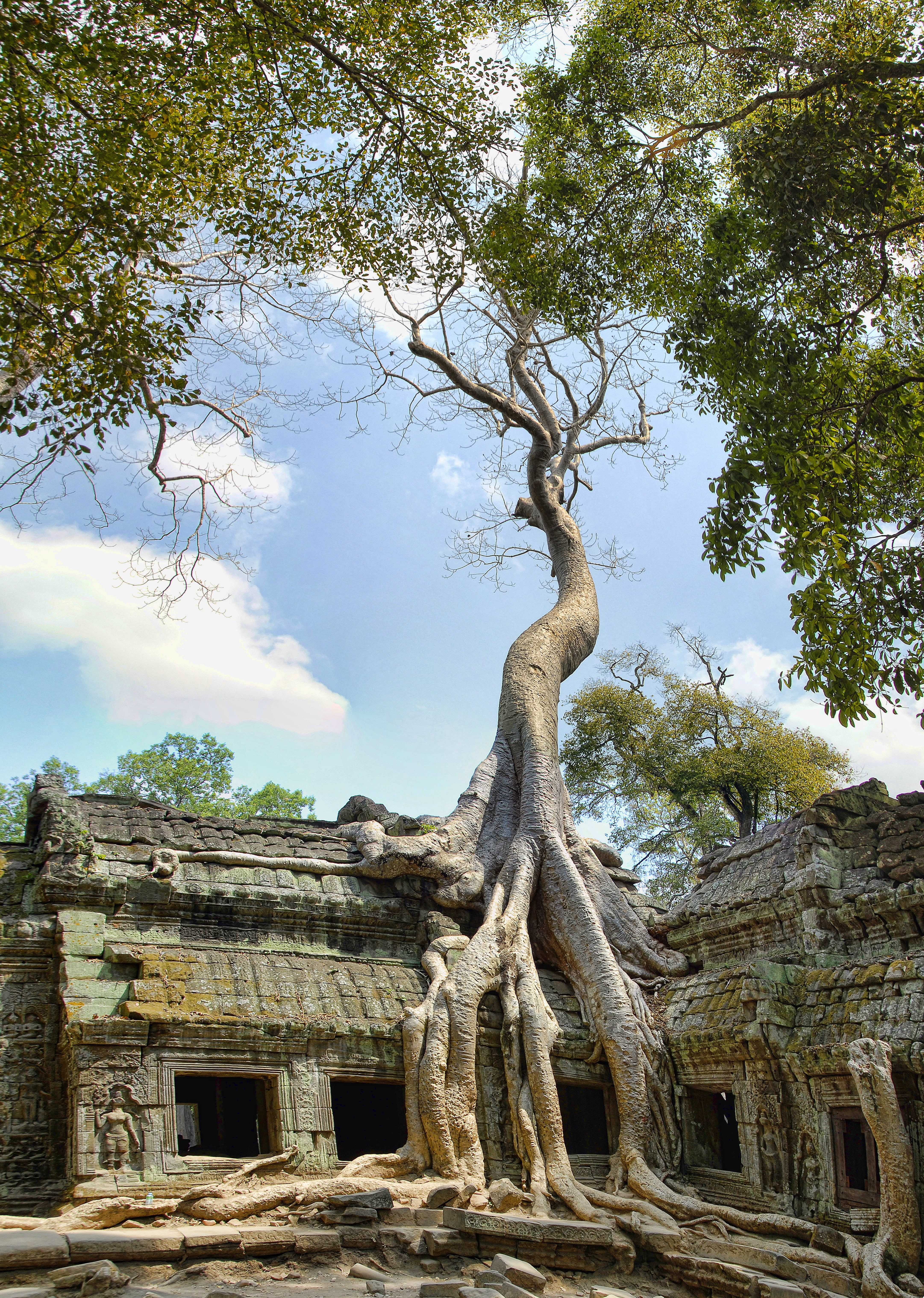 khmer, architecture, outdoors, archaeology, asia, travel destinations, the past, ta prohm, building exterior, ancient civilization, ruined, ancient, built structure, Phone HD Wallpaper