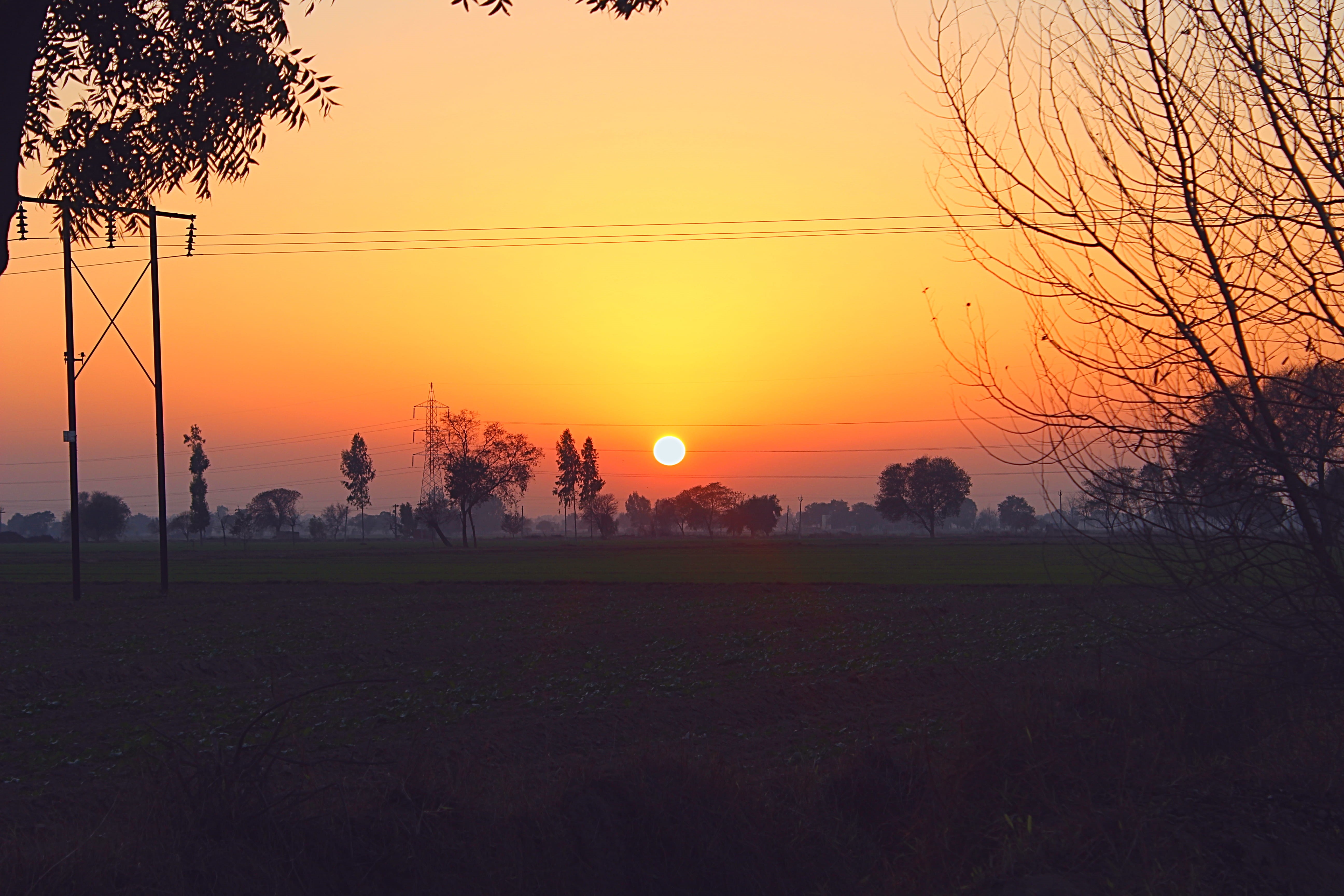 no people, non-urban scene, nature, landscape, romantic sky, orange color, outdoors, land, sun, 5K, scenics - nature, tree, plant, agri land, field, sunset, HD Wallpaper