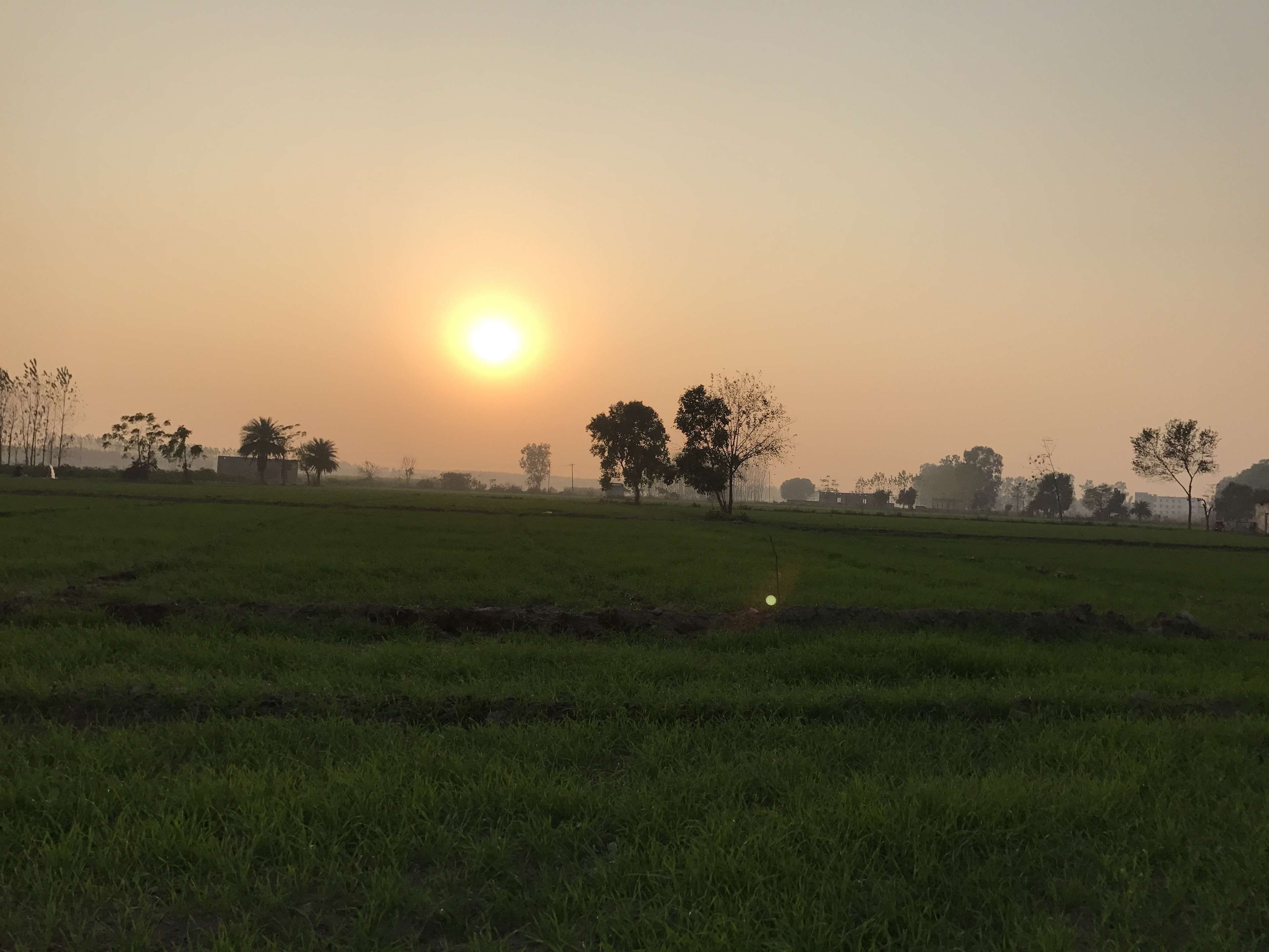 clear sky, sunset, no people, plant, sky, tree, environment, growth, tranquil scene, scenics - nature, 4K, culture, land, tranquility, nature, non-urban scene, HD Wallpaper
